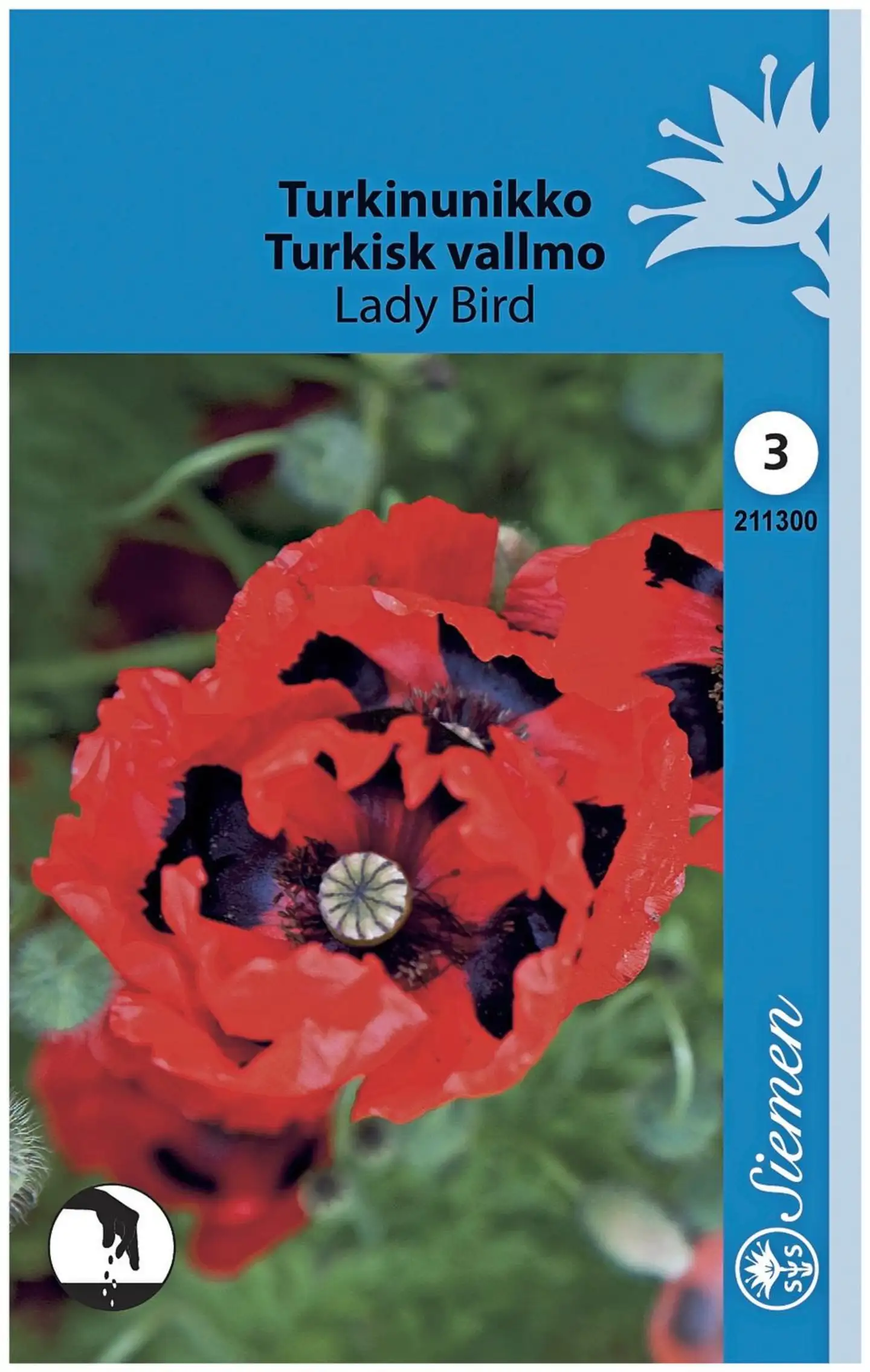 Turkinunikko Lady Bird