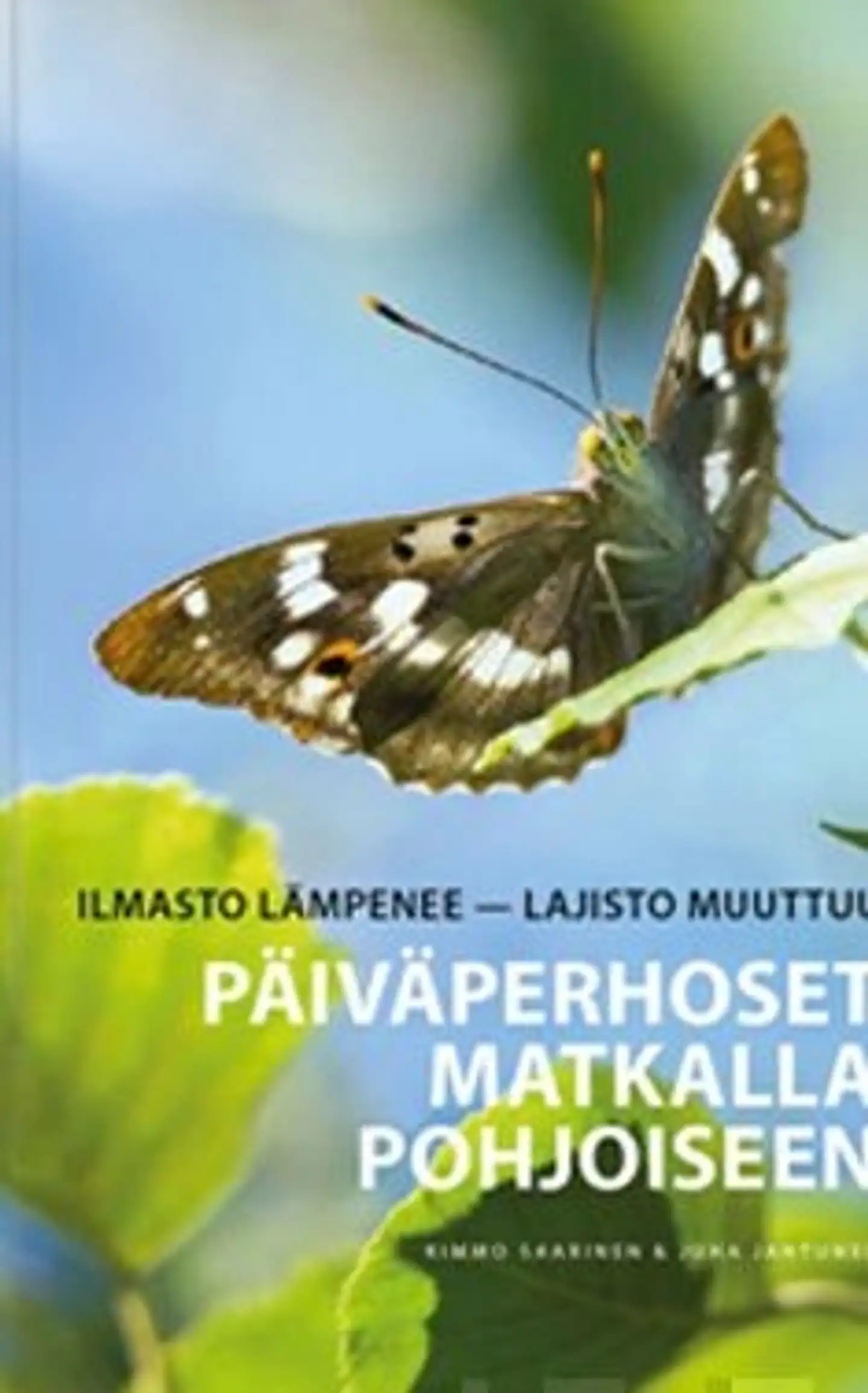 Saarinen, Päiväperhoset matkalla pohjoiseen