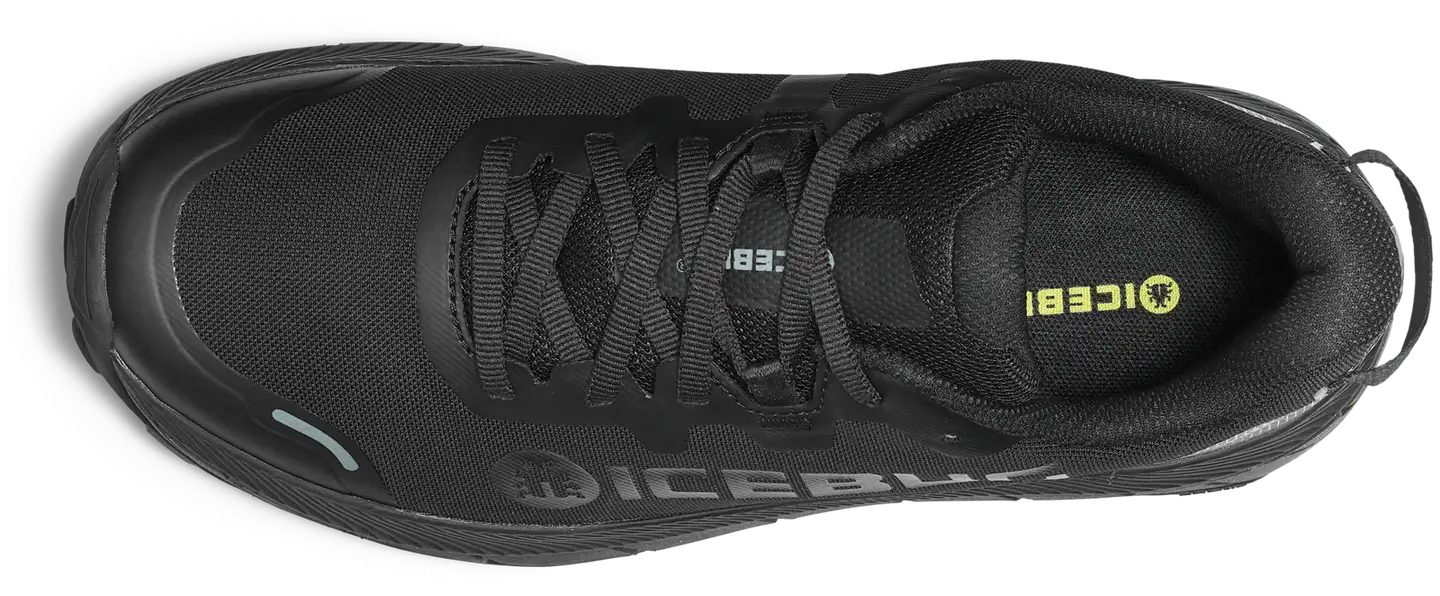 Icebug naisten nastajuoksukengät Arcus 2 BUGrip GTX - TrueBlack - 2
