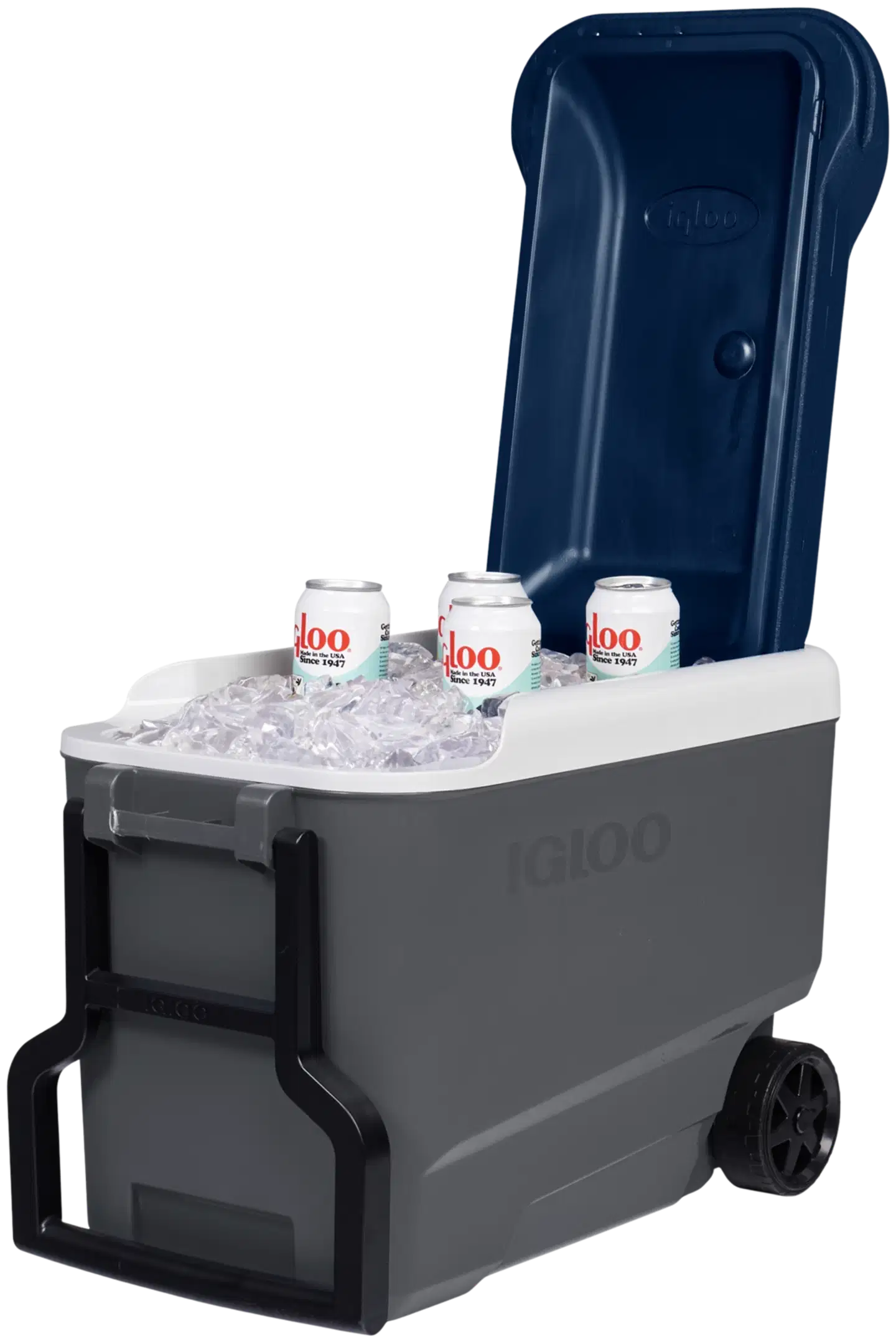 Igloo Maxcold R 38 l kylmälaukku pyörillä tummanharmaa - 12