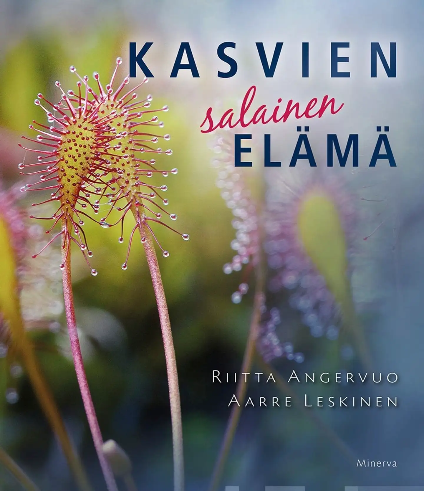 Angervuo, Kasvien salainen elämä