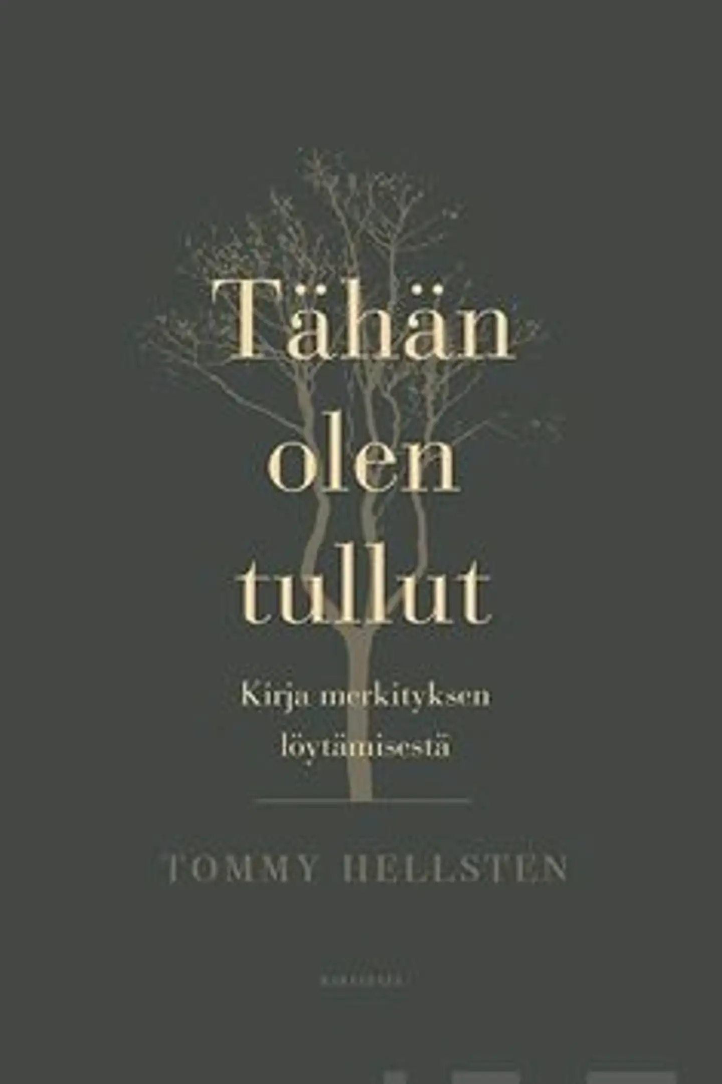 Hellsten, Tähän olen tullut - Kirja merkityksen löytämisestä