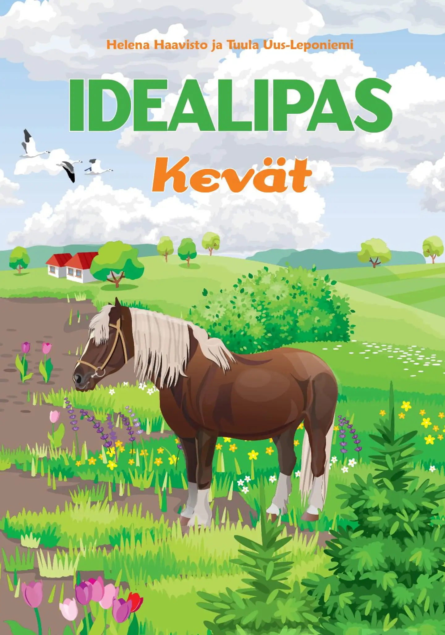 Haavisto, Idealipas - Kevät