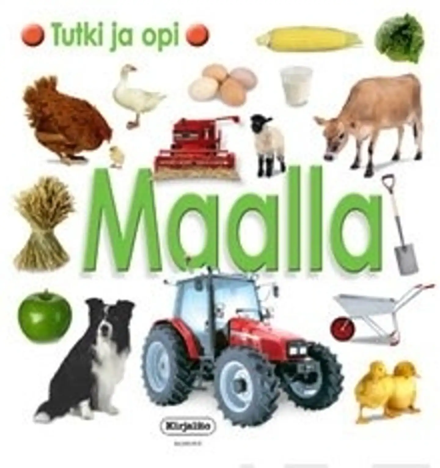 Maalla