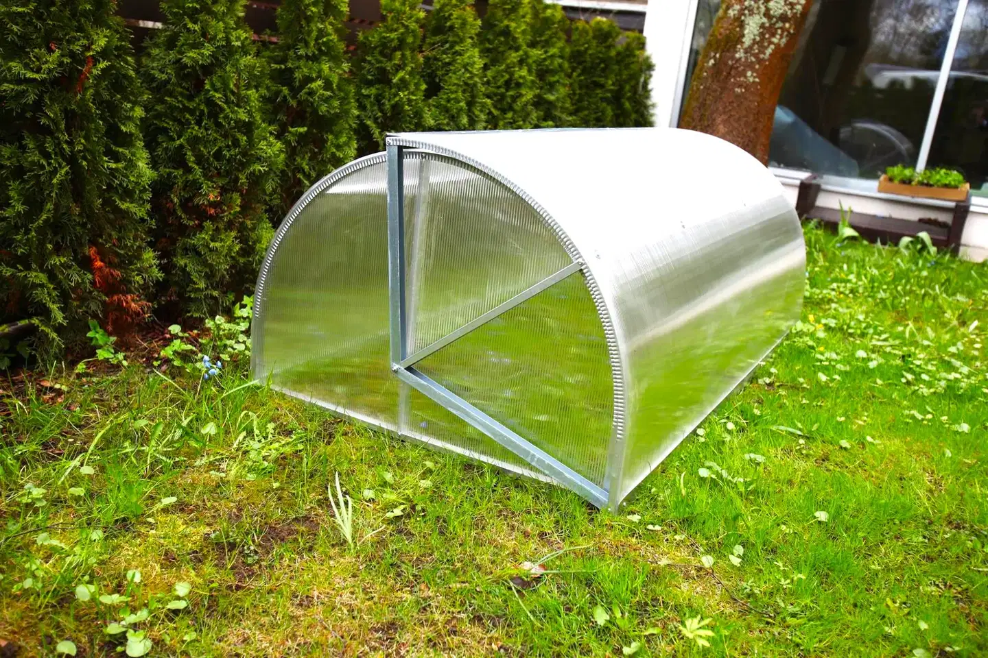 Ecoslider kasvihuone Mini - 4