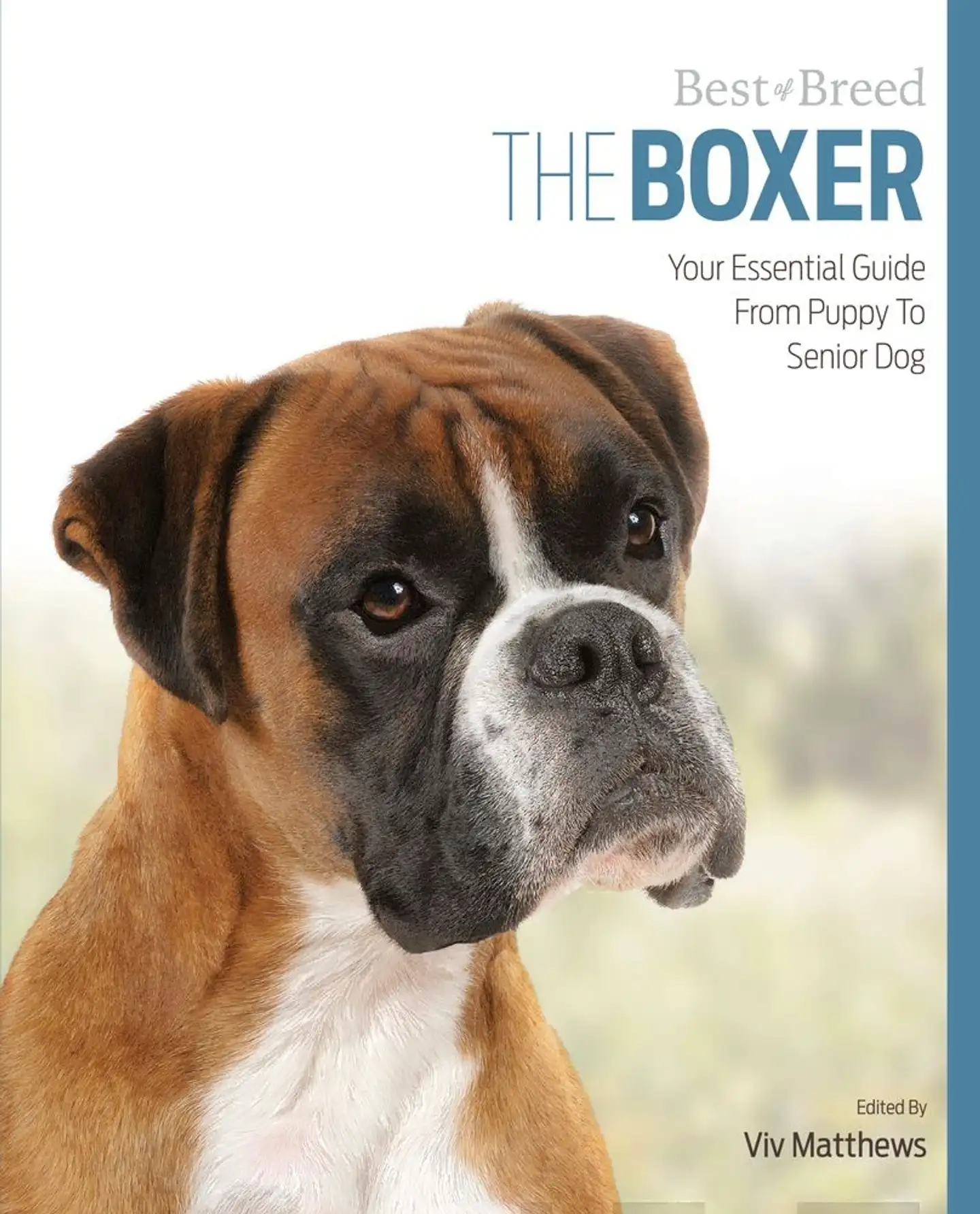 Mathews, The Boxer - Your Essential Guide From Puppy to Senior Dog