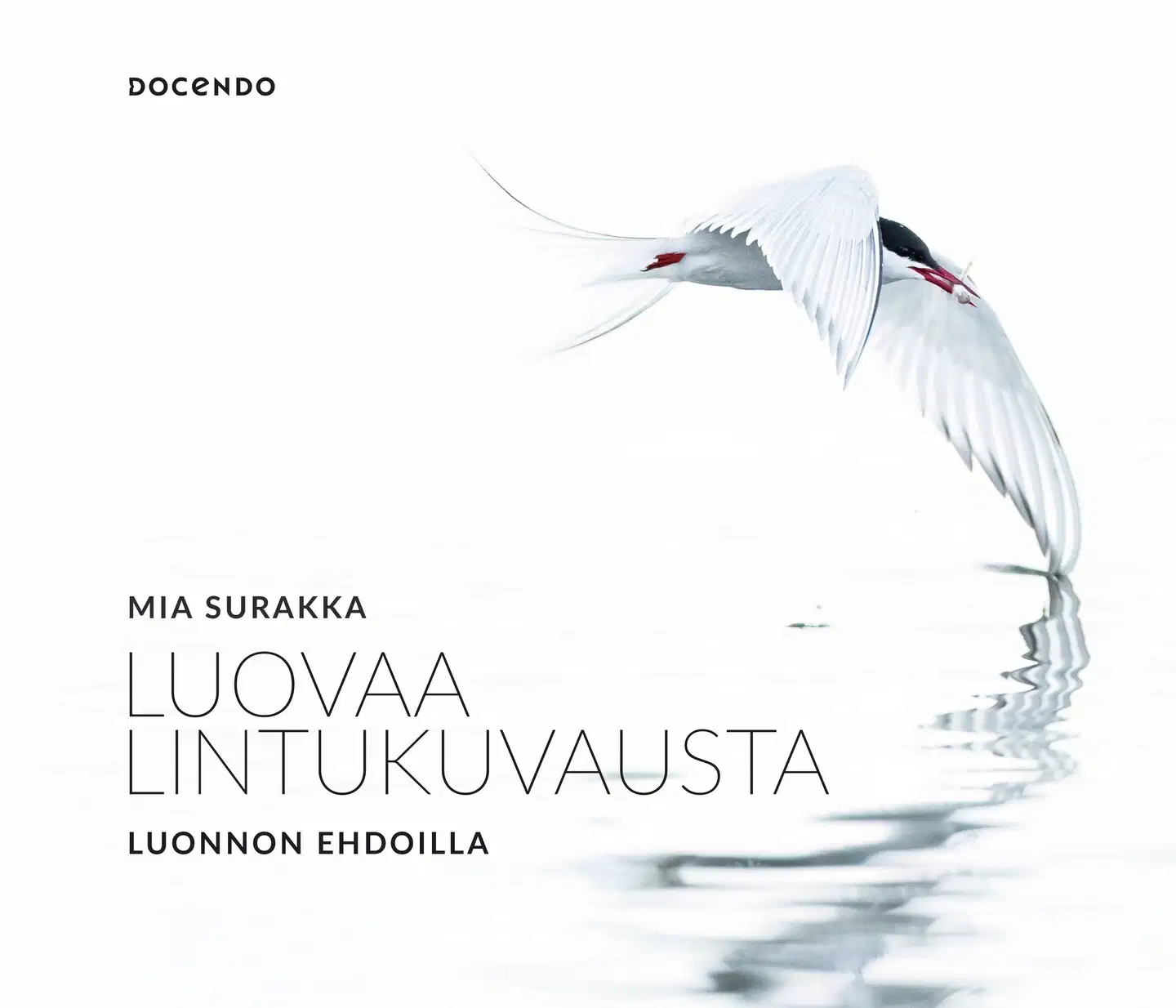 Surakka, Luovaa lintukuvausta luonnon ehdoilla