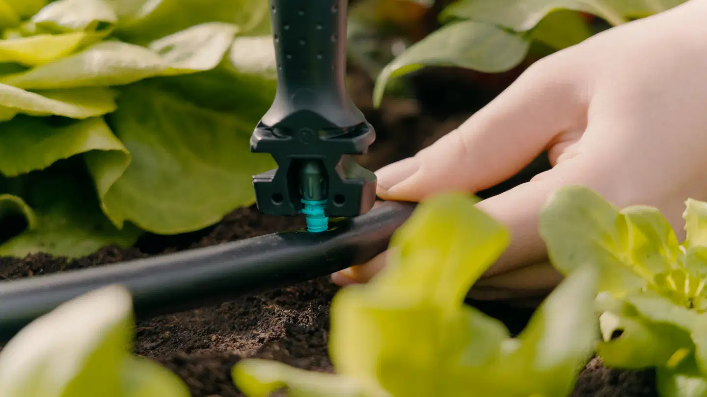 Gardena Micro-Drip-kastelusarja istutusalueelle - 7