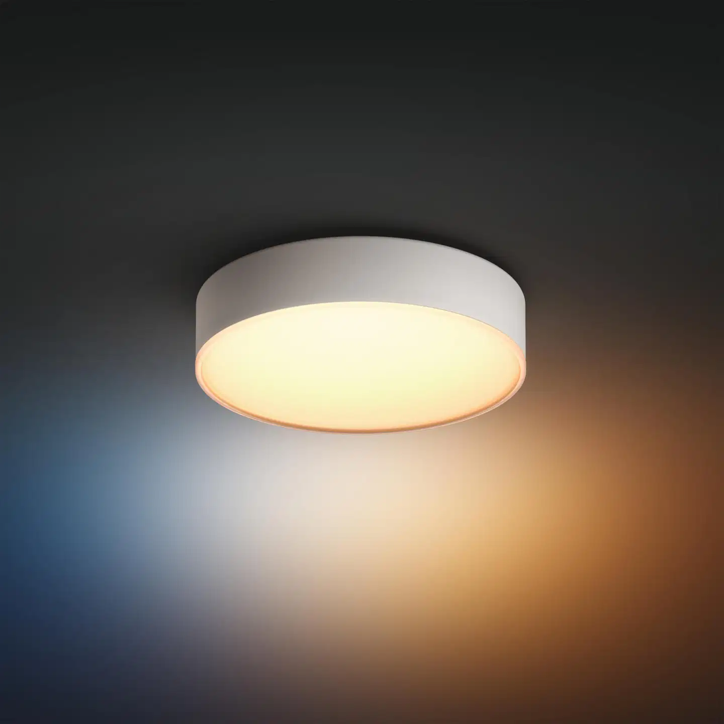 Philips Hue Enrave -kattovalaisin 10W 2200-6500K 1220LM pieni valkoinen - 4