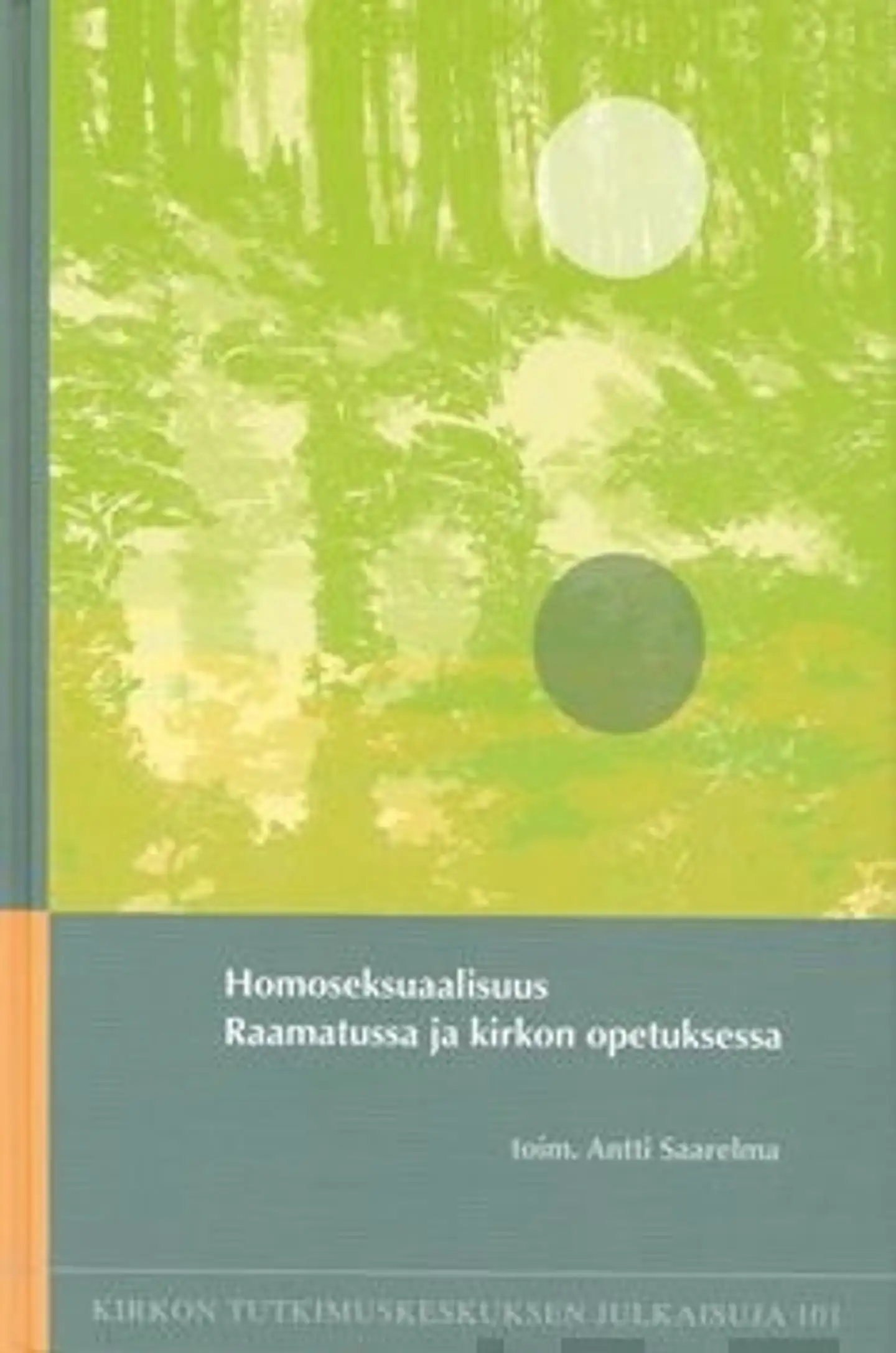 Homoseksuaalisuus Raamatussa ja kirkon opetuksessa
