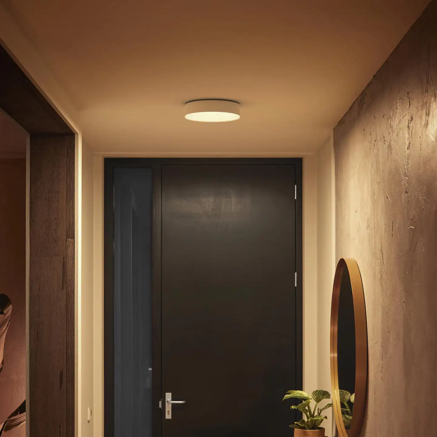 Philips Hue Enrave -kattovalaisin 10W 2200-6500K 1220LM pieni valkoinen - 5