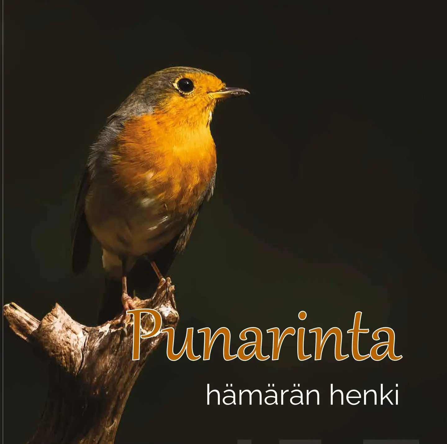 Avela, Punarinta - Hämärän henki