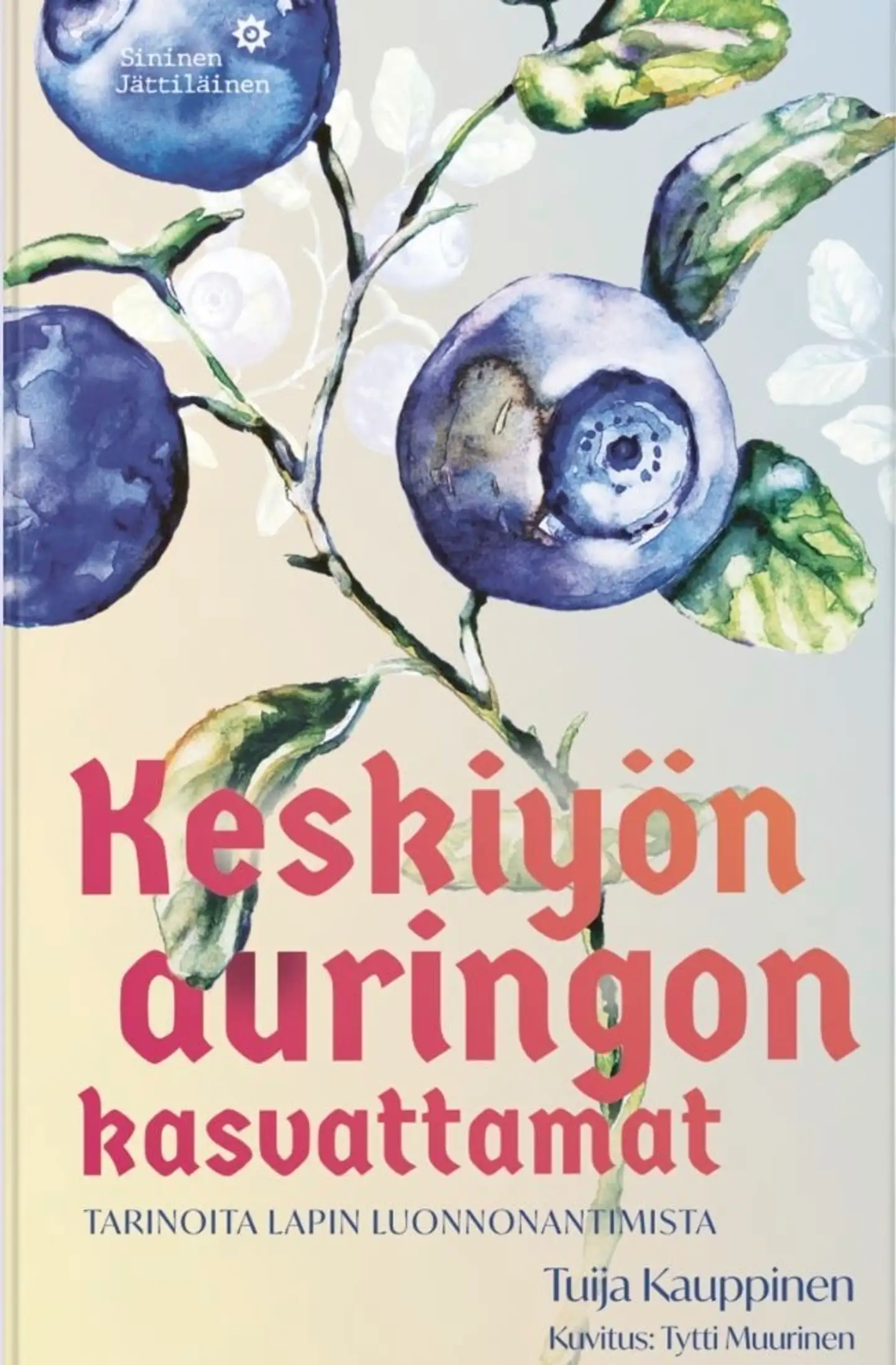 Kauppinen, Keskiyön auringon kasvattamat