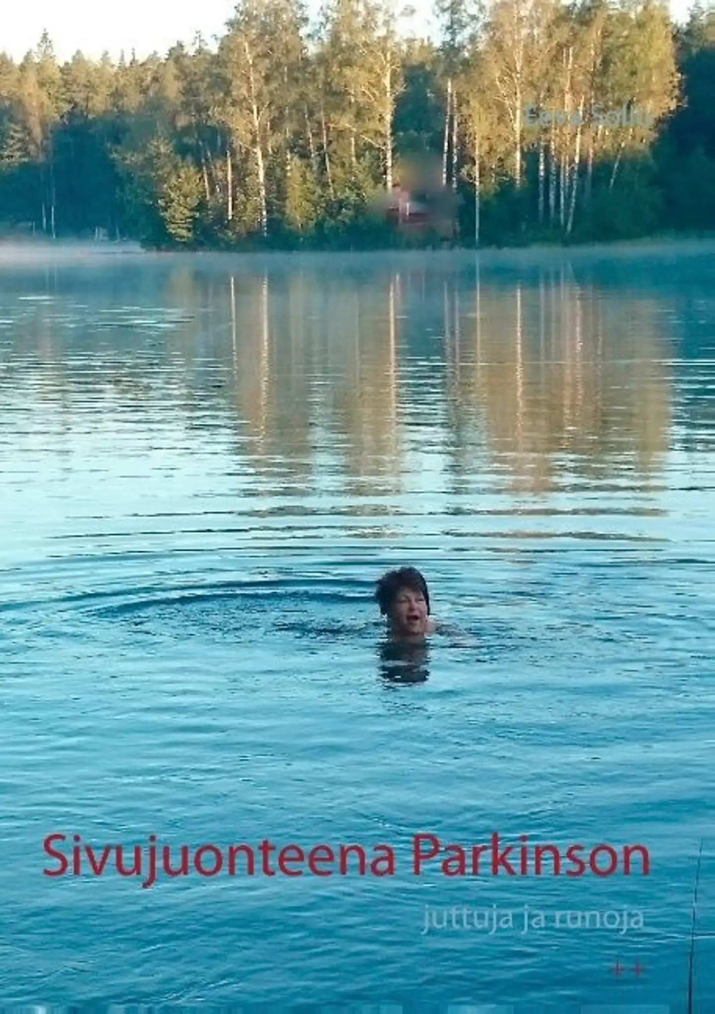 Sollo, Sivujuonteena Parkinson