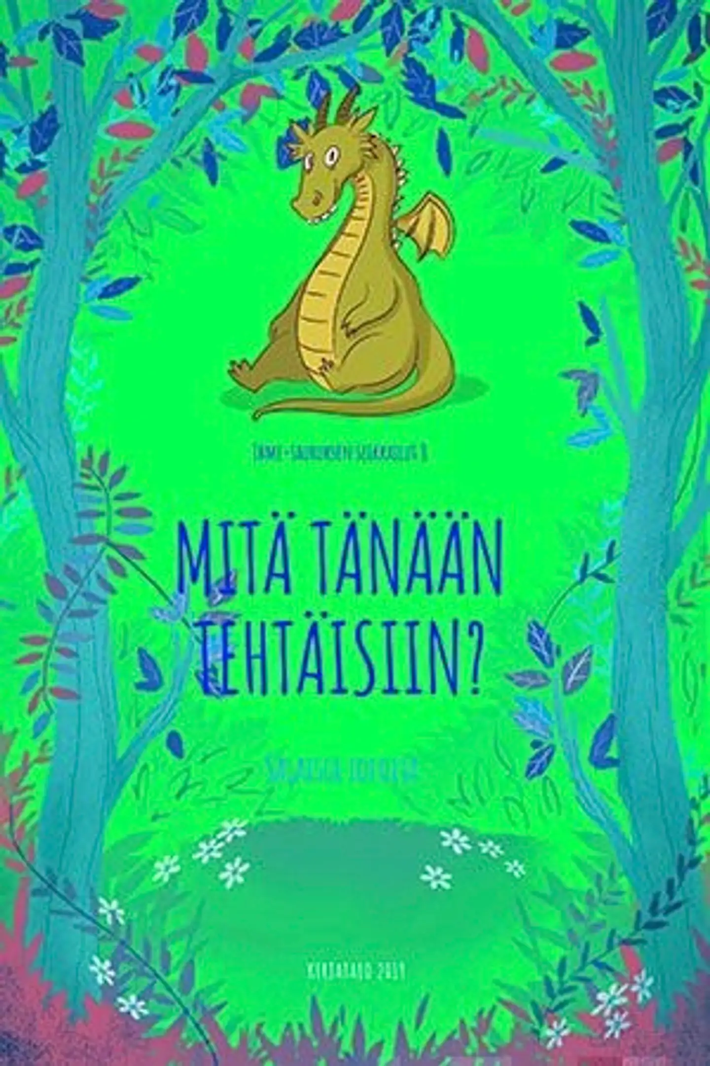 Mäkijärvi, Mitä tänään tehtäisiin?