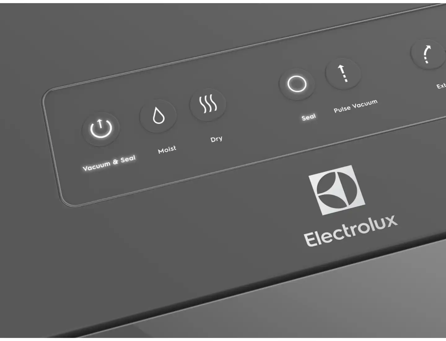 Electrolux vakuumilaite E6VS1-6AG - 2