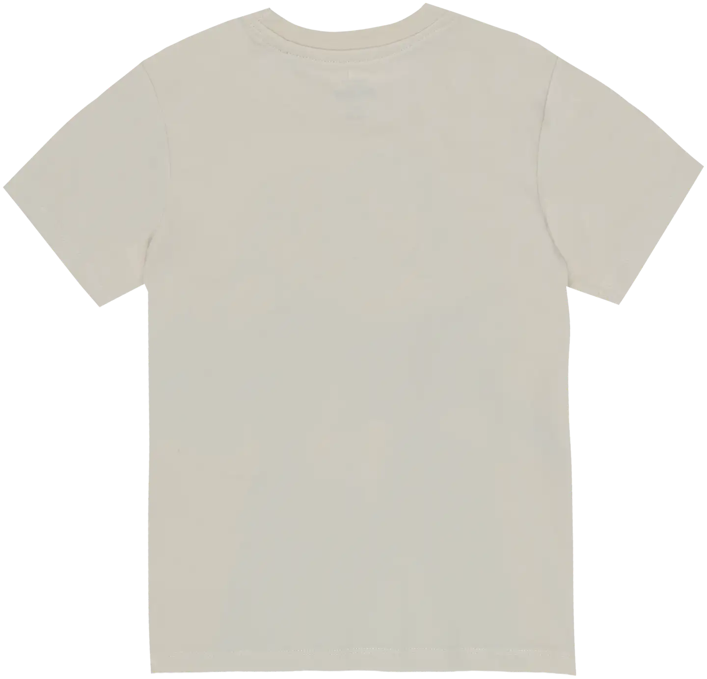 Frozen lasten t-paita FRQ10009A - WHITE - 2