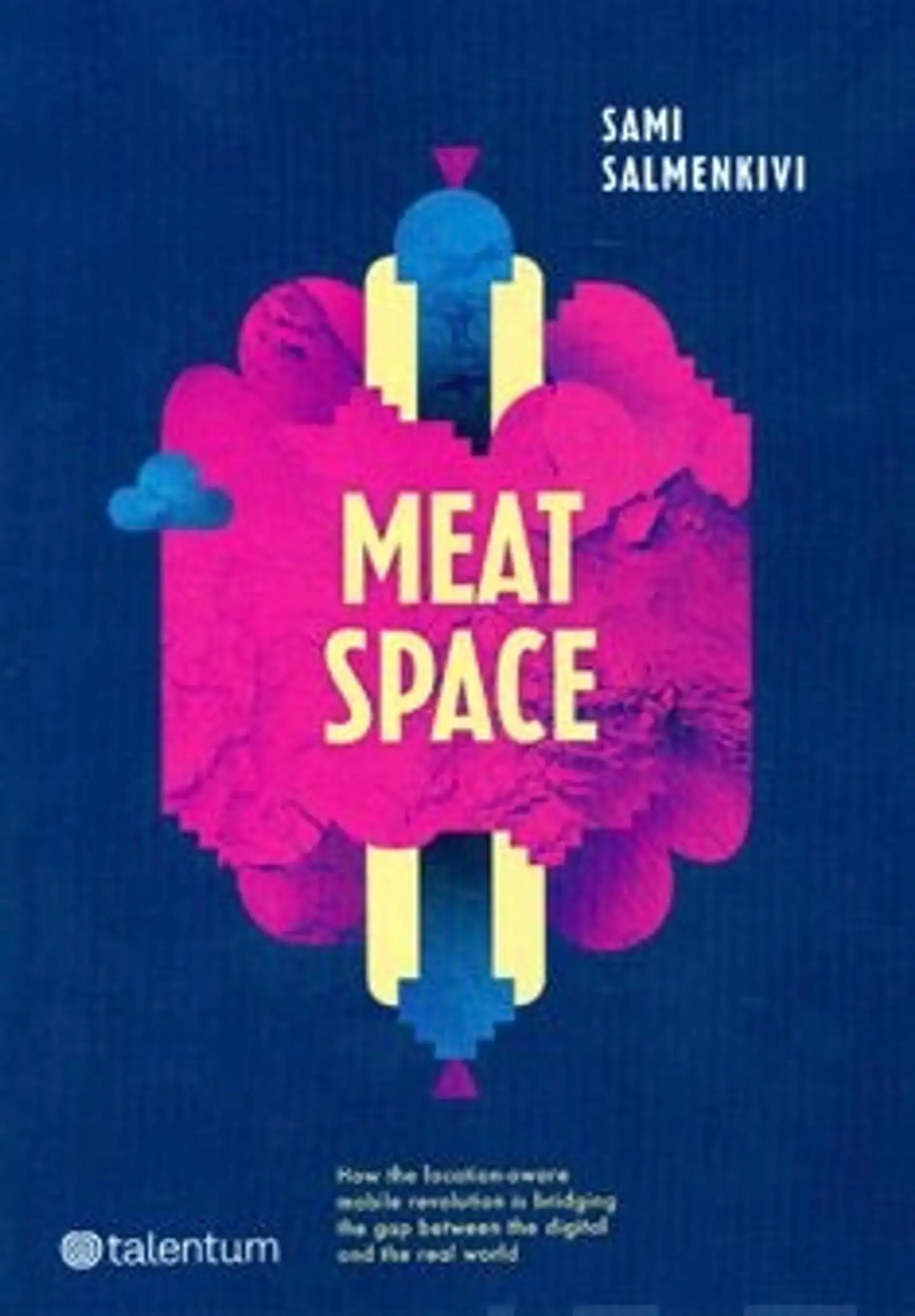 Salmenkivi, Meatspace