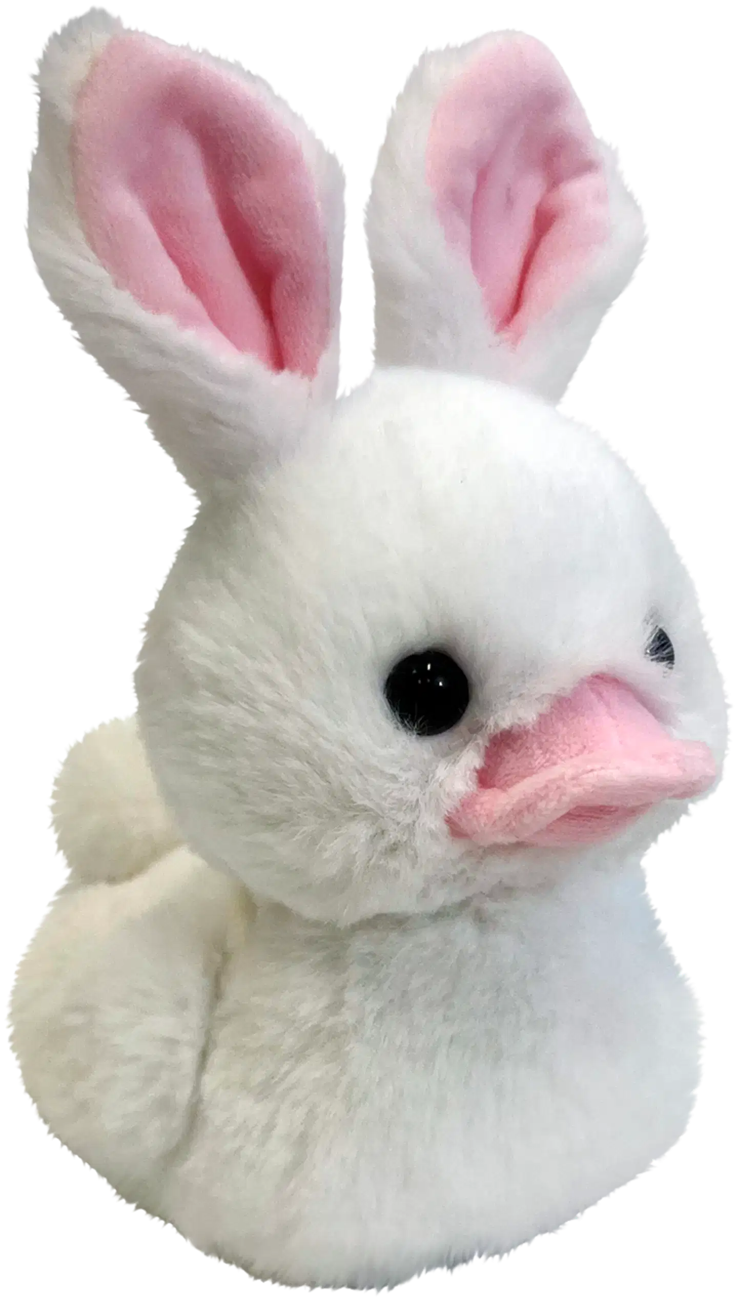 Duckeez maailman pehmoisin pehmo - 2