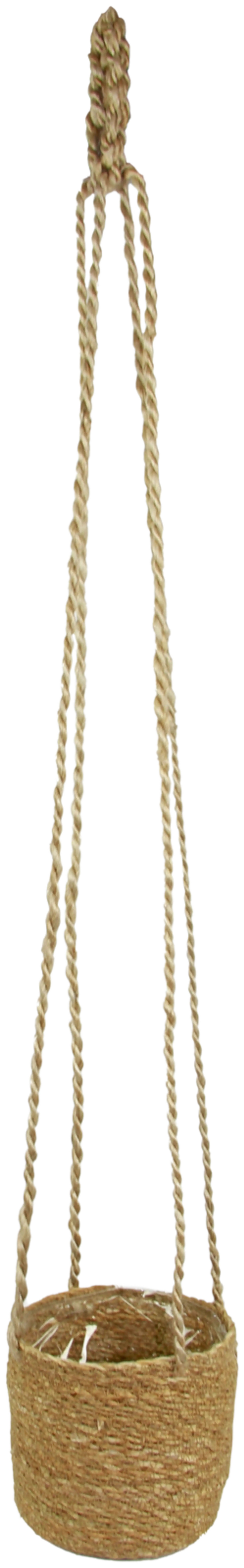 Valley hogla-amppeli suojamuovilla