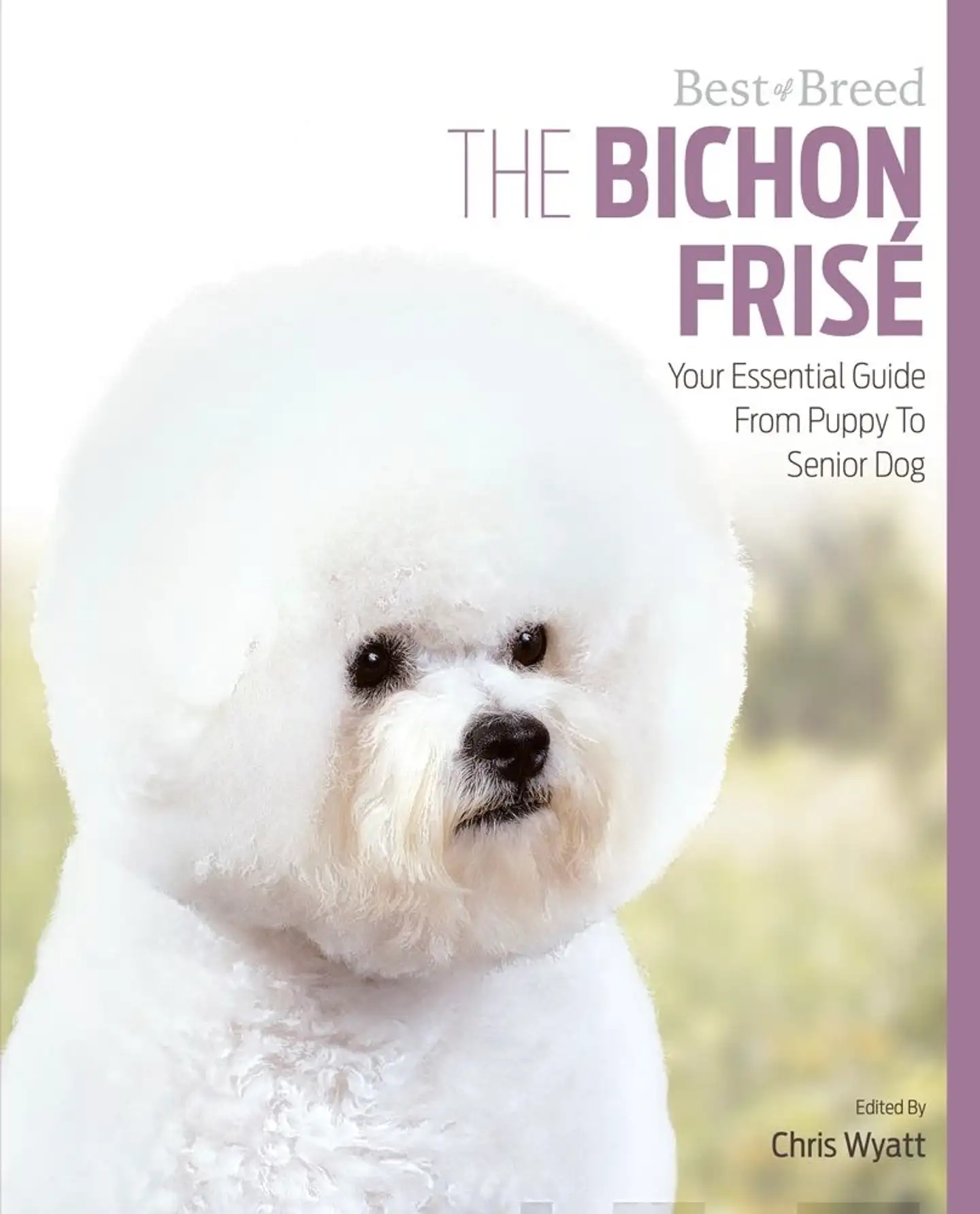 Wyatt, The Bichon Frisé - Your Essential Guide From Puppy to Senior Dog