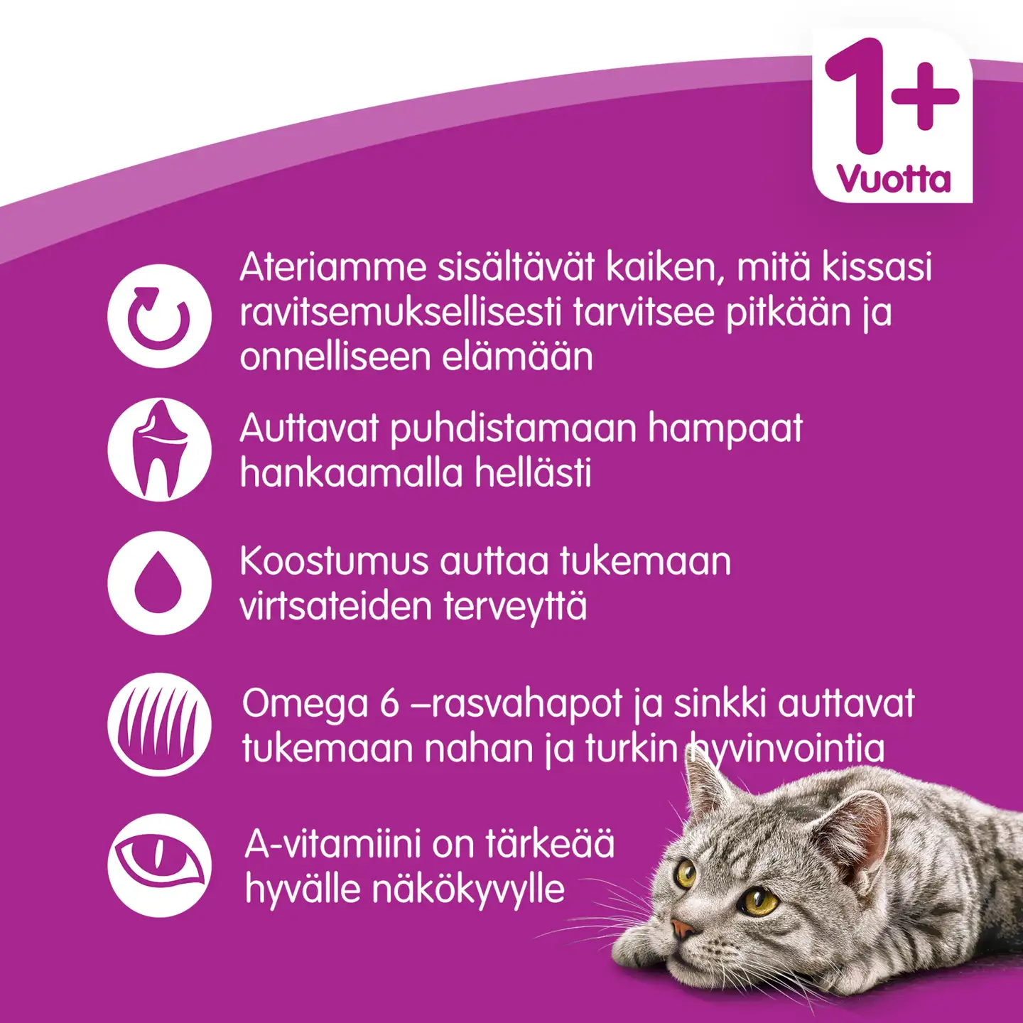 Whiskas 1+ Kanaa 800g - 5