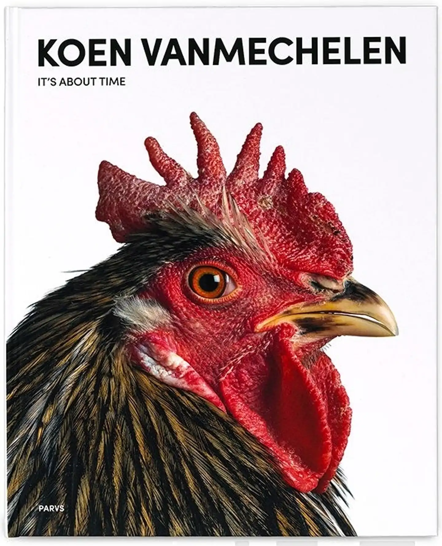 Coenegrachts, Koen Vanmechelen - It’s About Time