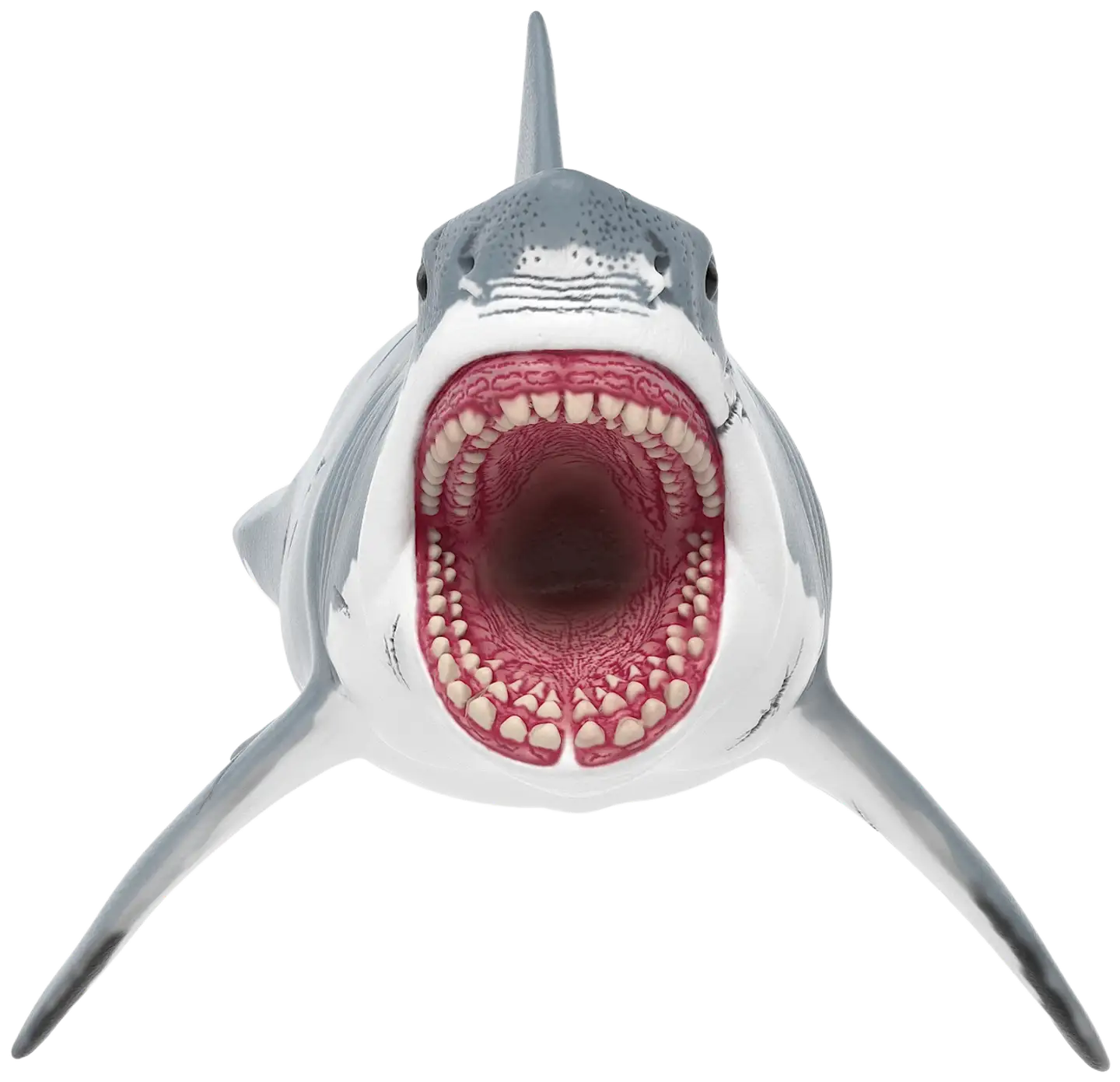 Schleich Megalodon - 5