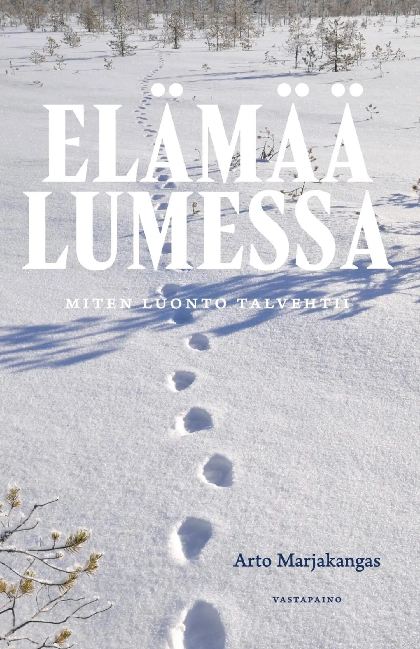 Marjakangas, Elämää lumessa - Miten luonto talvehtii