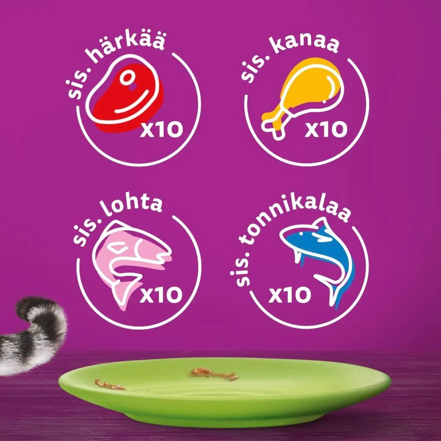 Whiskas 1+ Suosikit Lajitelma hyytelössä (40 x 85 g) - 3