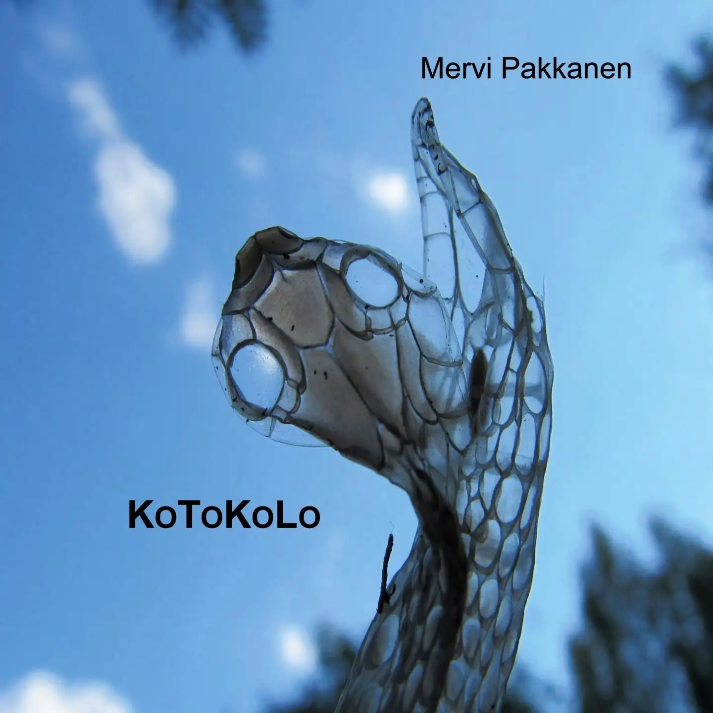 Pakkanen, Kotokolo