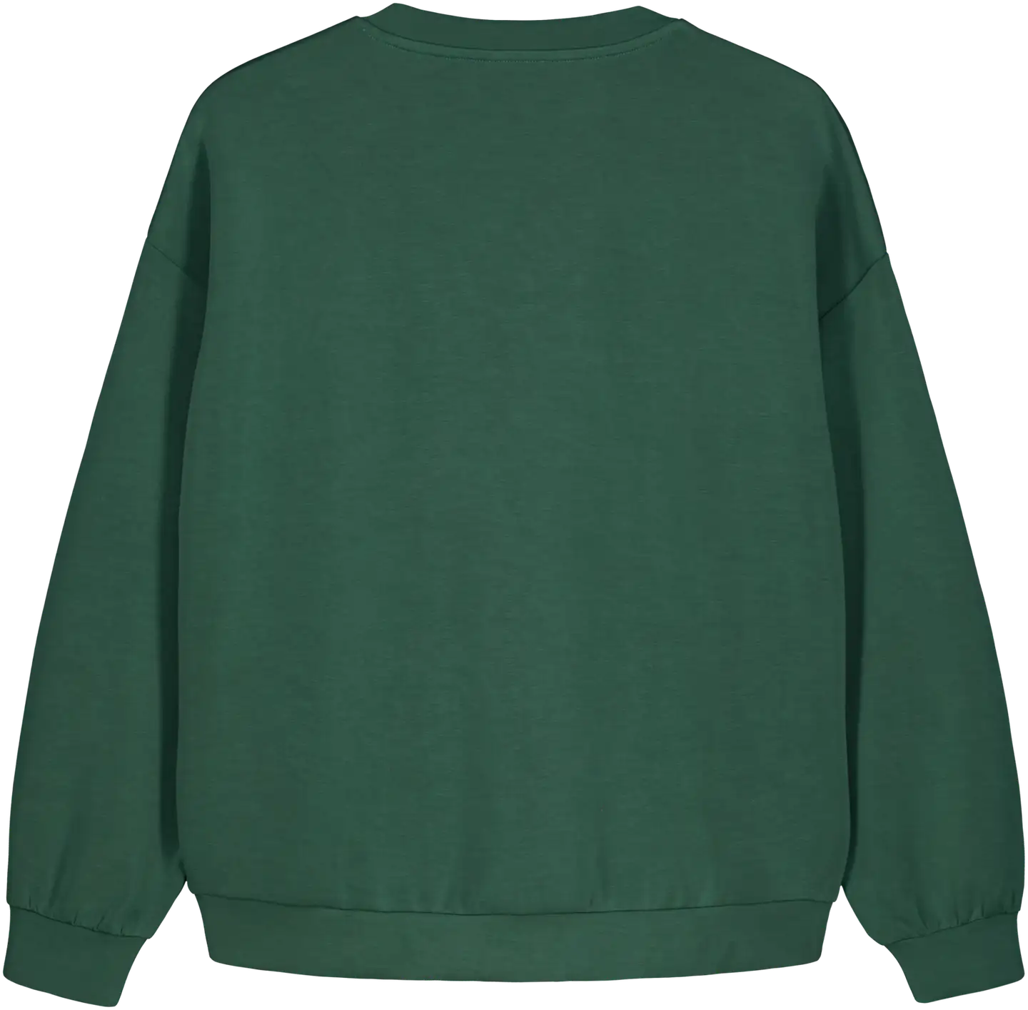 WKLY. naisten scuba-pusero 213W301100 - Laurel wreath - 2