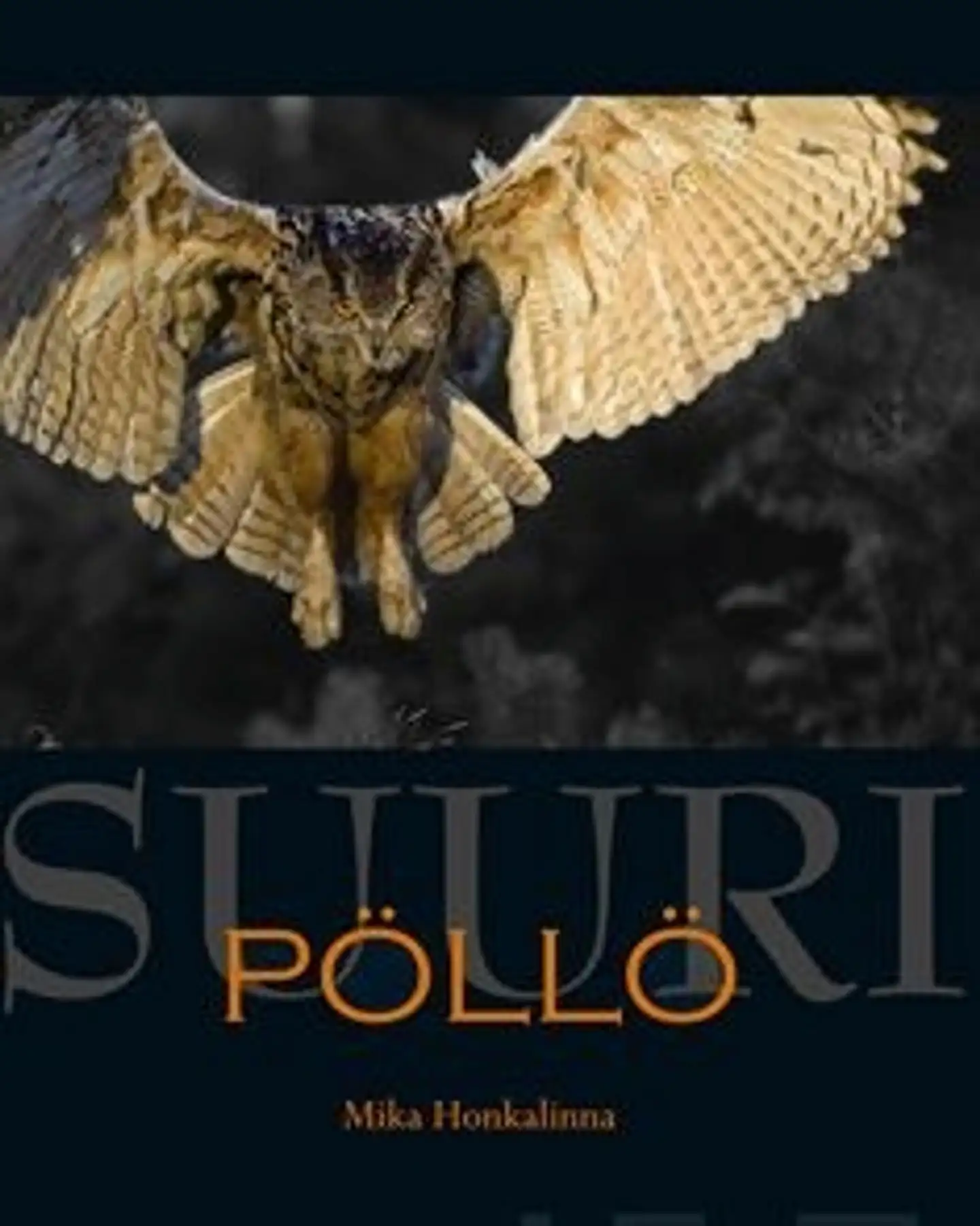 Honkalinna, Suuri pöllö