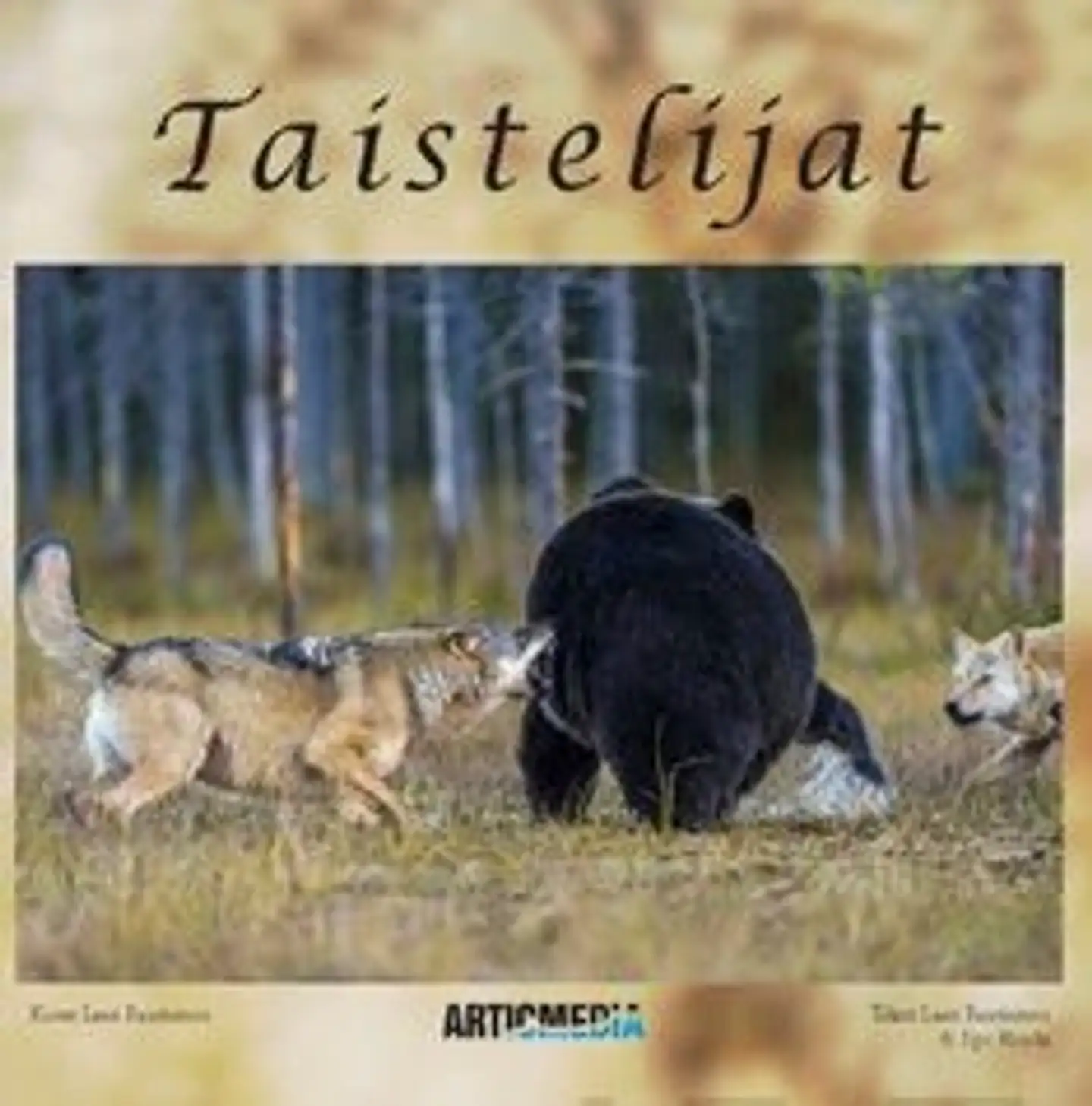 Rautiainen, Taistelijat