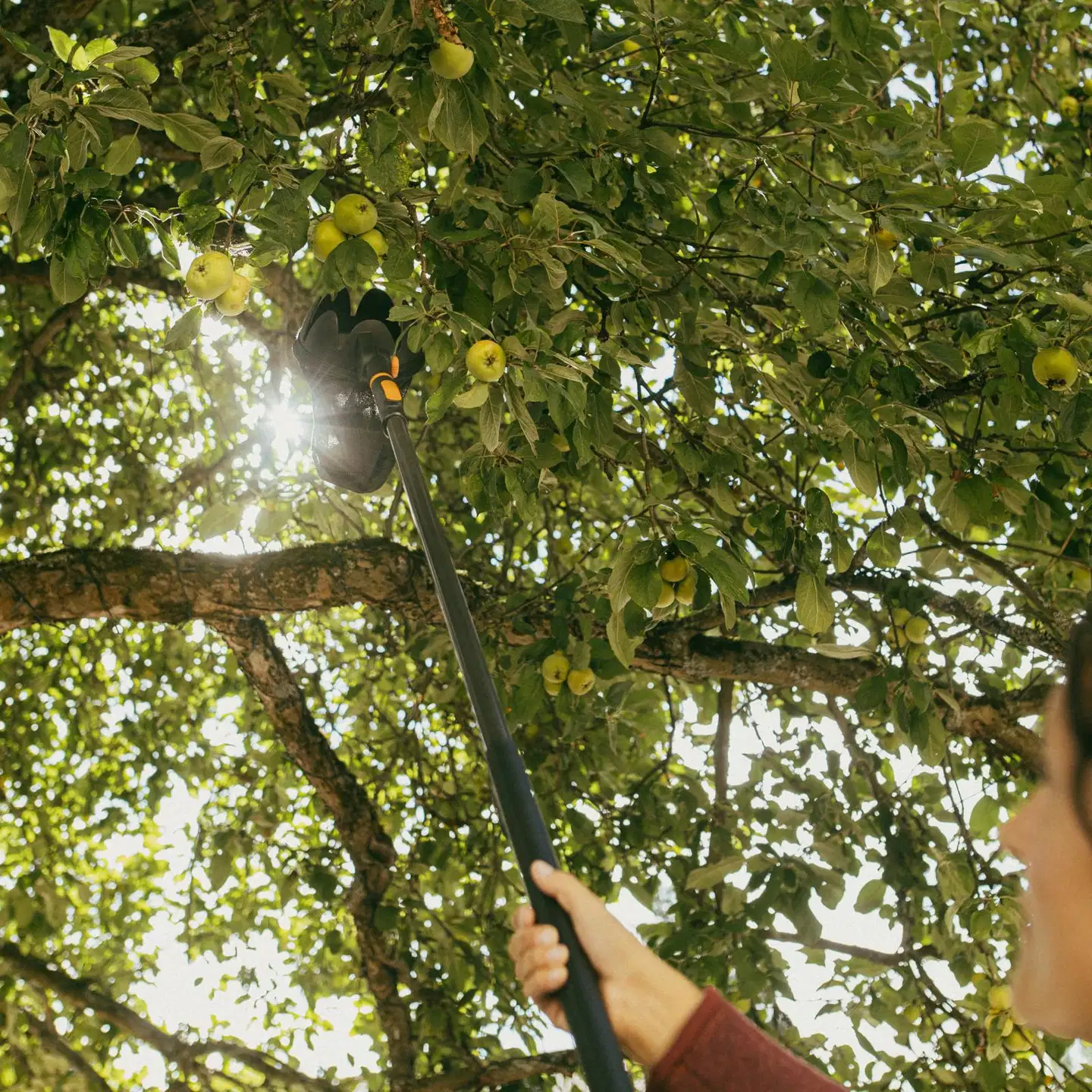 Fiskars OneClick Hedelmäpoimuri - 3