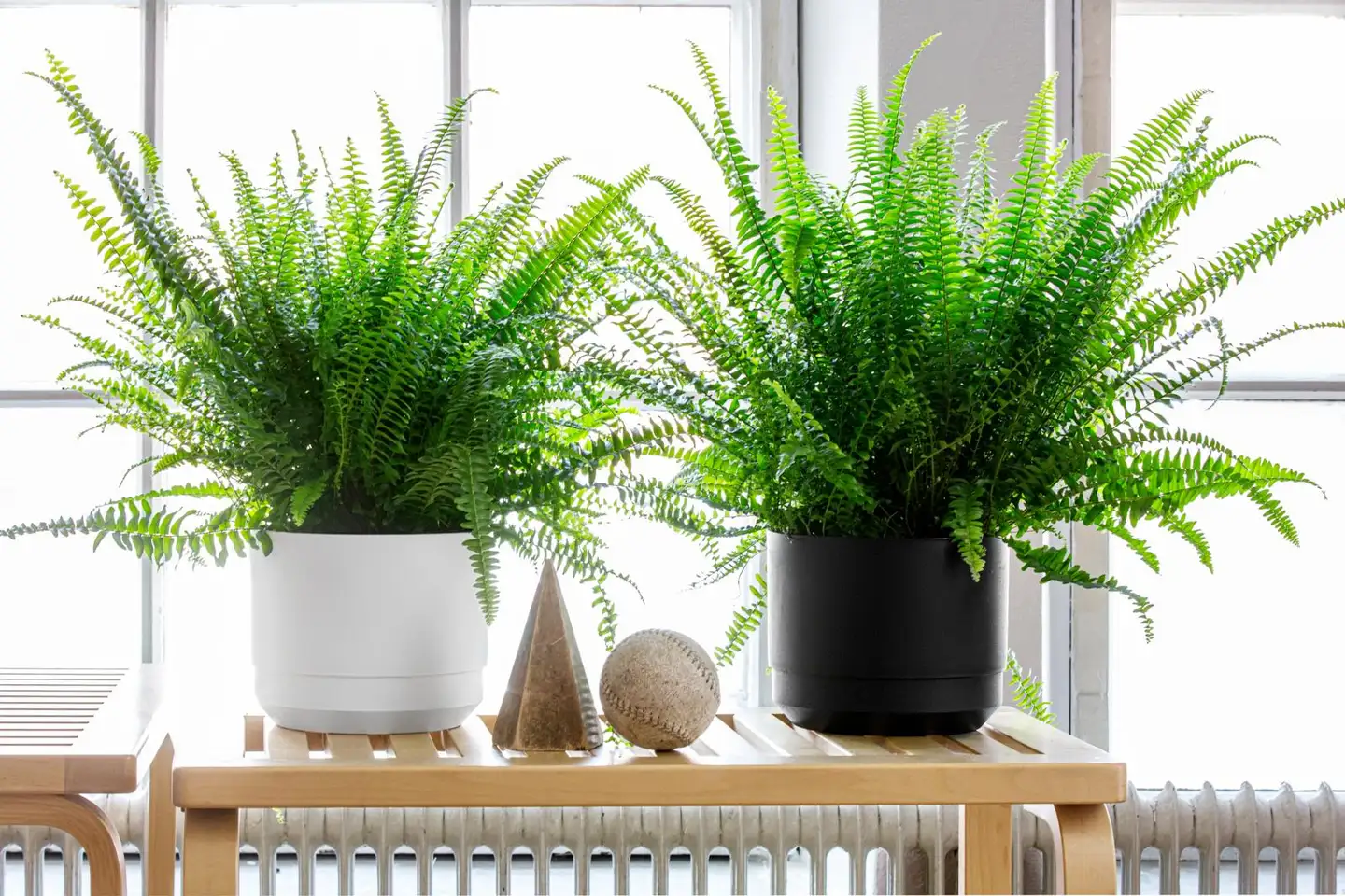 Orthex Paulina altakasteluruukku 25 cm - 4