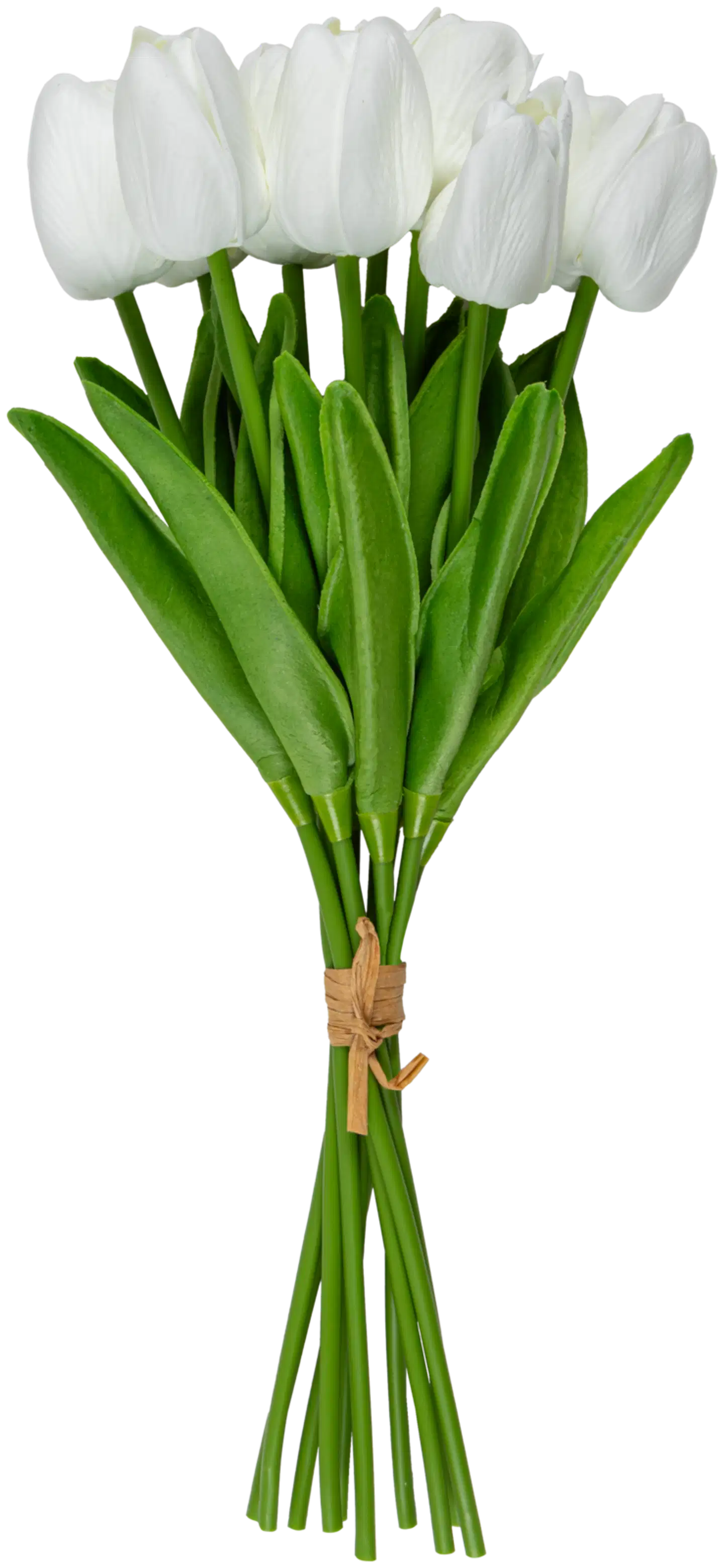 Tulpaanikimppu 10 kpl valkoinen