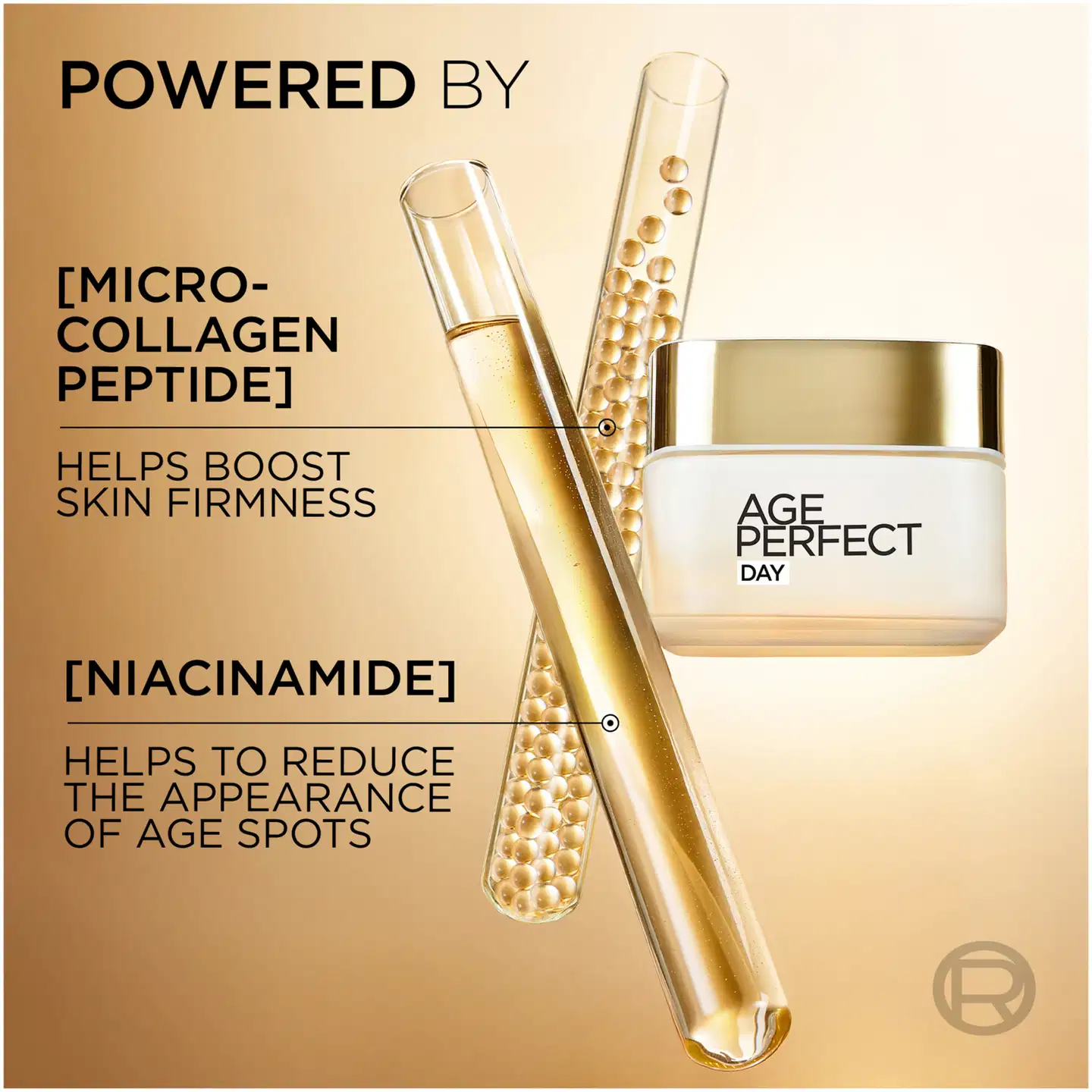 L'Oréal Paris Age Perfect Day kosteuttava & kiinteyttävä päivävoide ikääntyvälle iholle 50ml - 3