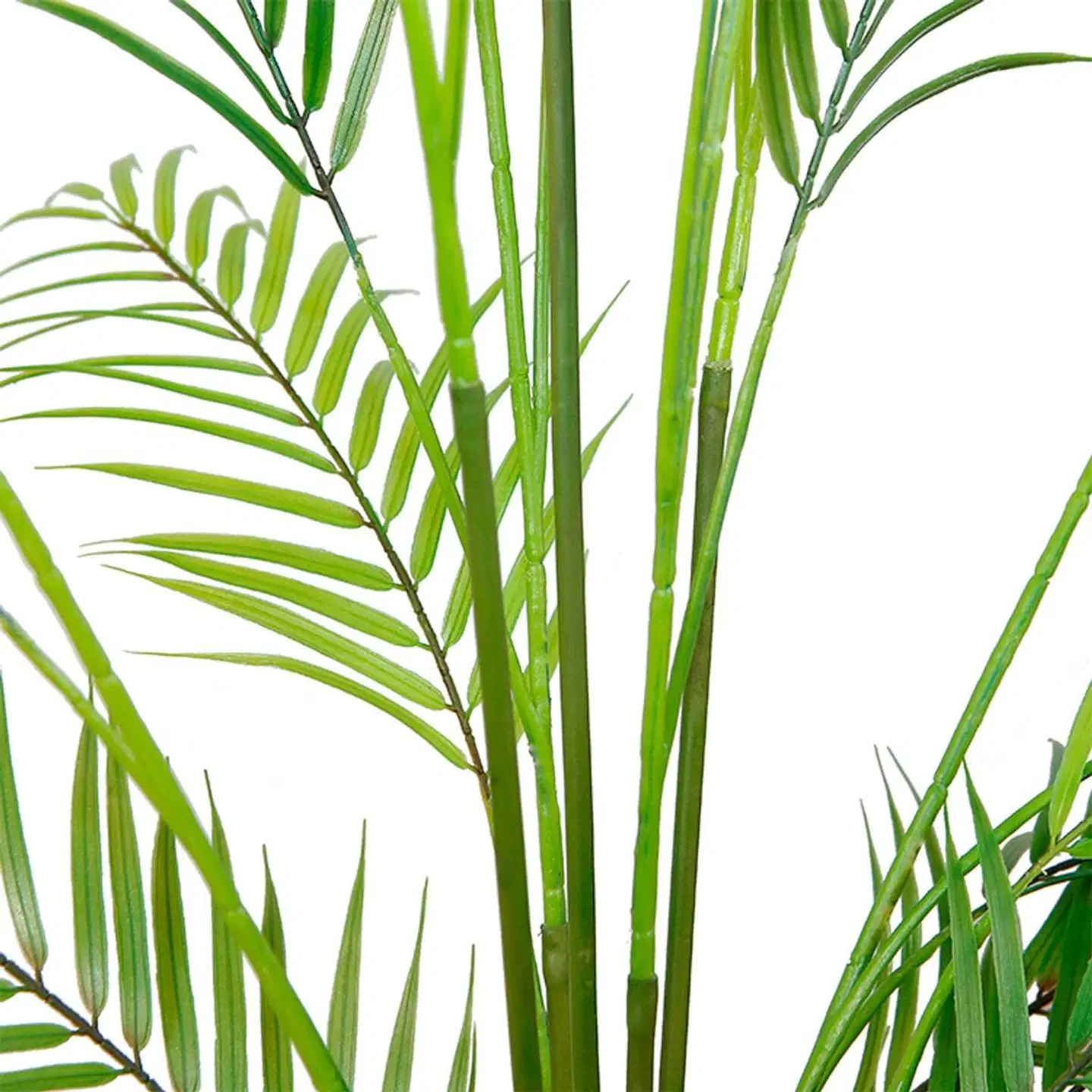 Lykke tekokasvi areca palm 150cm - 3