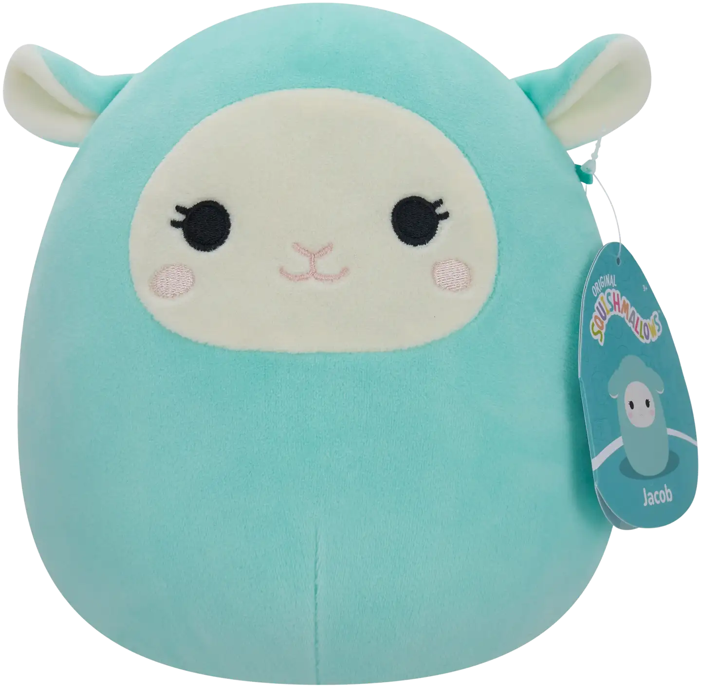 Squishmallows 19 cm P22 pehmo A ja C - 5