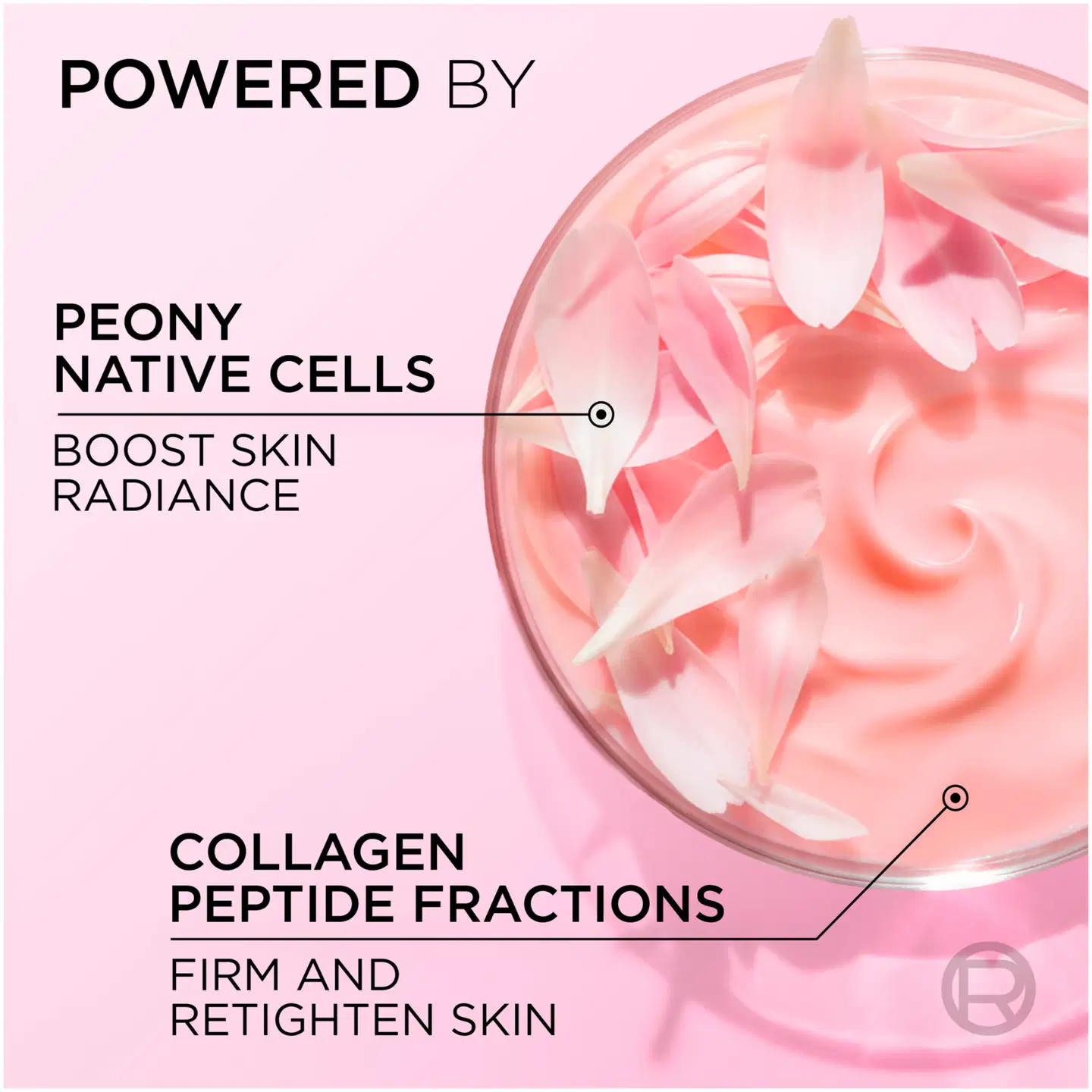 L'Oréal Paris Age Perfect Rosy Glow päivävoide normaalille iholle 50 ml - 6