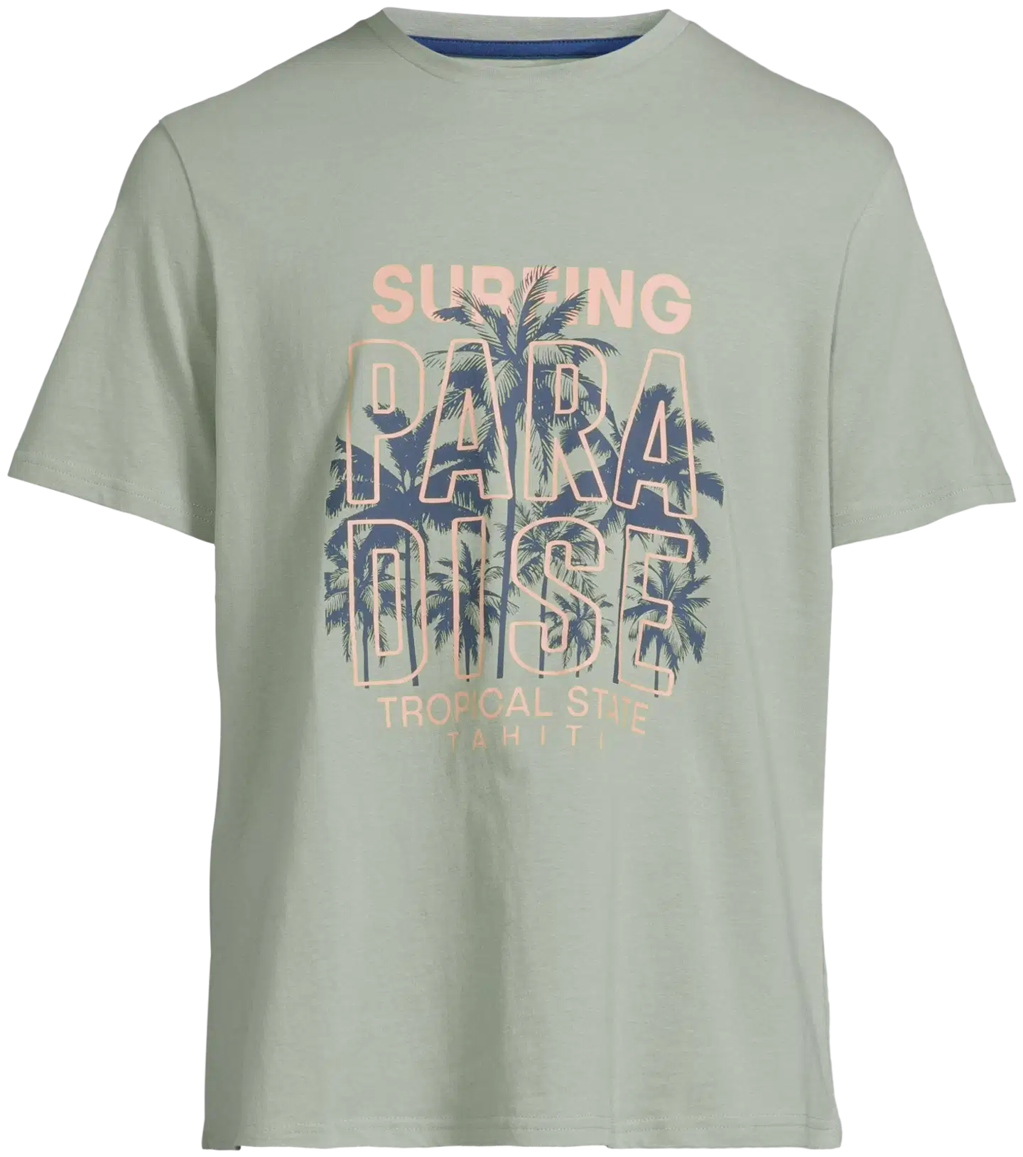 House miesten t-paita Palm Beach 195H152613 - Sage Green - 2