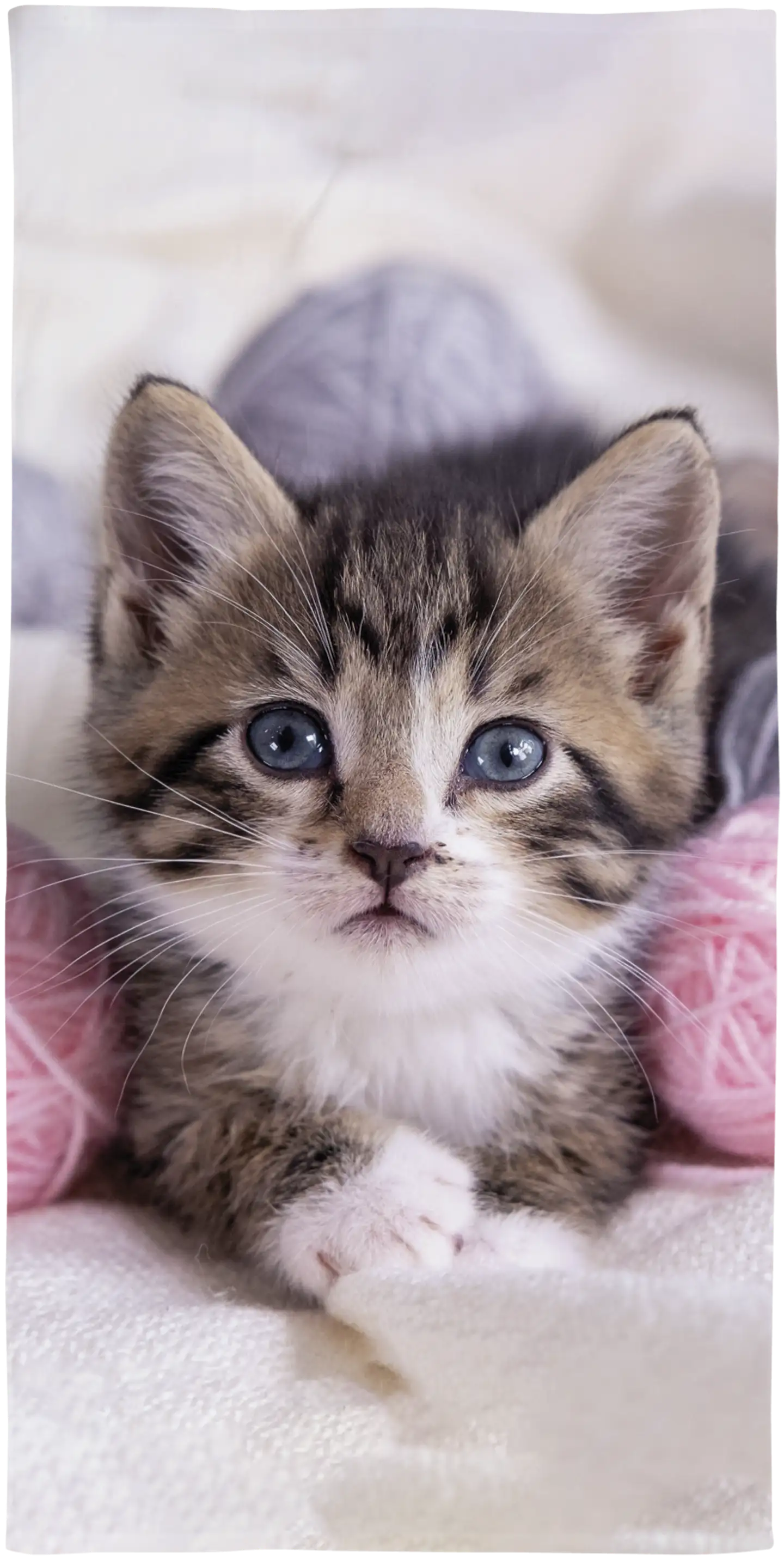 Ciraf lasten kylpypyyhe Kissanpentu 70x140 cm