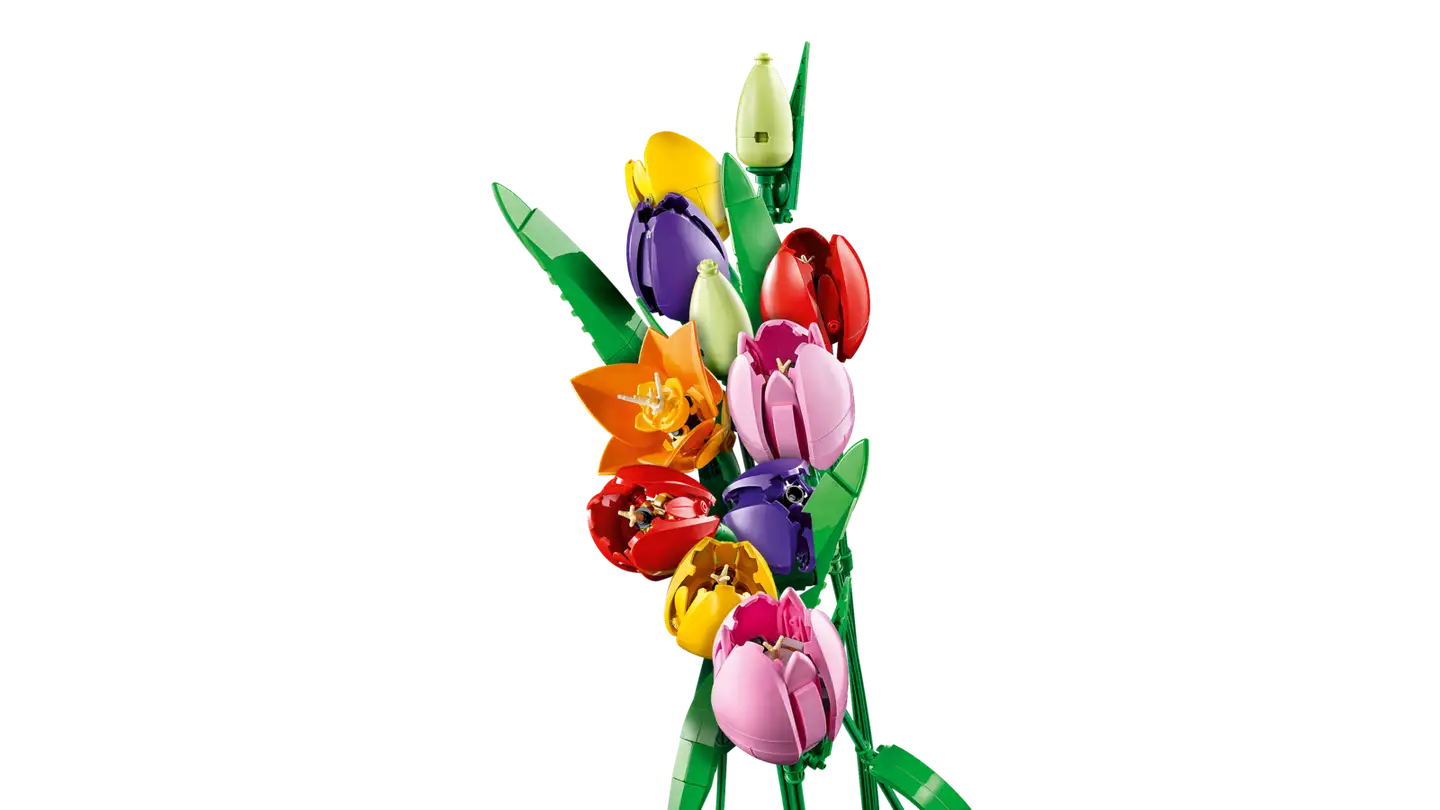 LEGO® Botanicals 11501 Tulppaanikimppu - 11