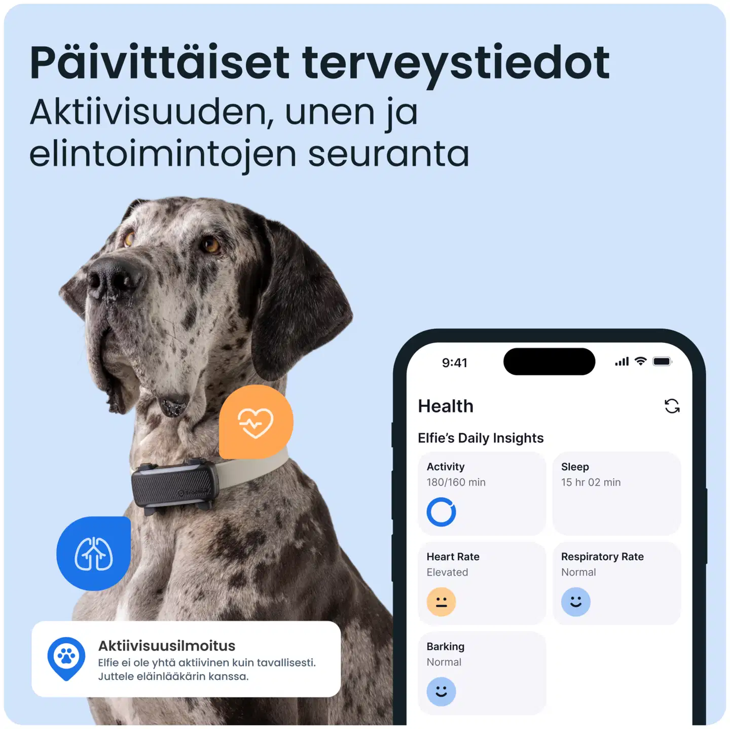 Tractive DOG 6 XL GPS -koiranpanta - 5