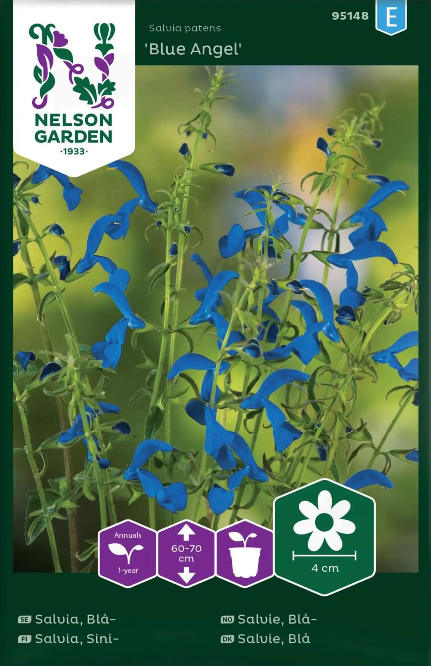 Nelson Garden Siemen Salvia, Sini-, Blue Angel