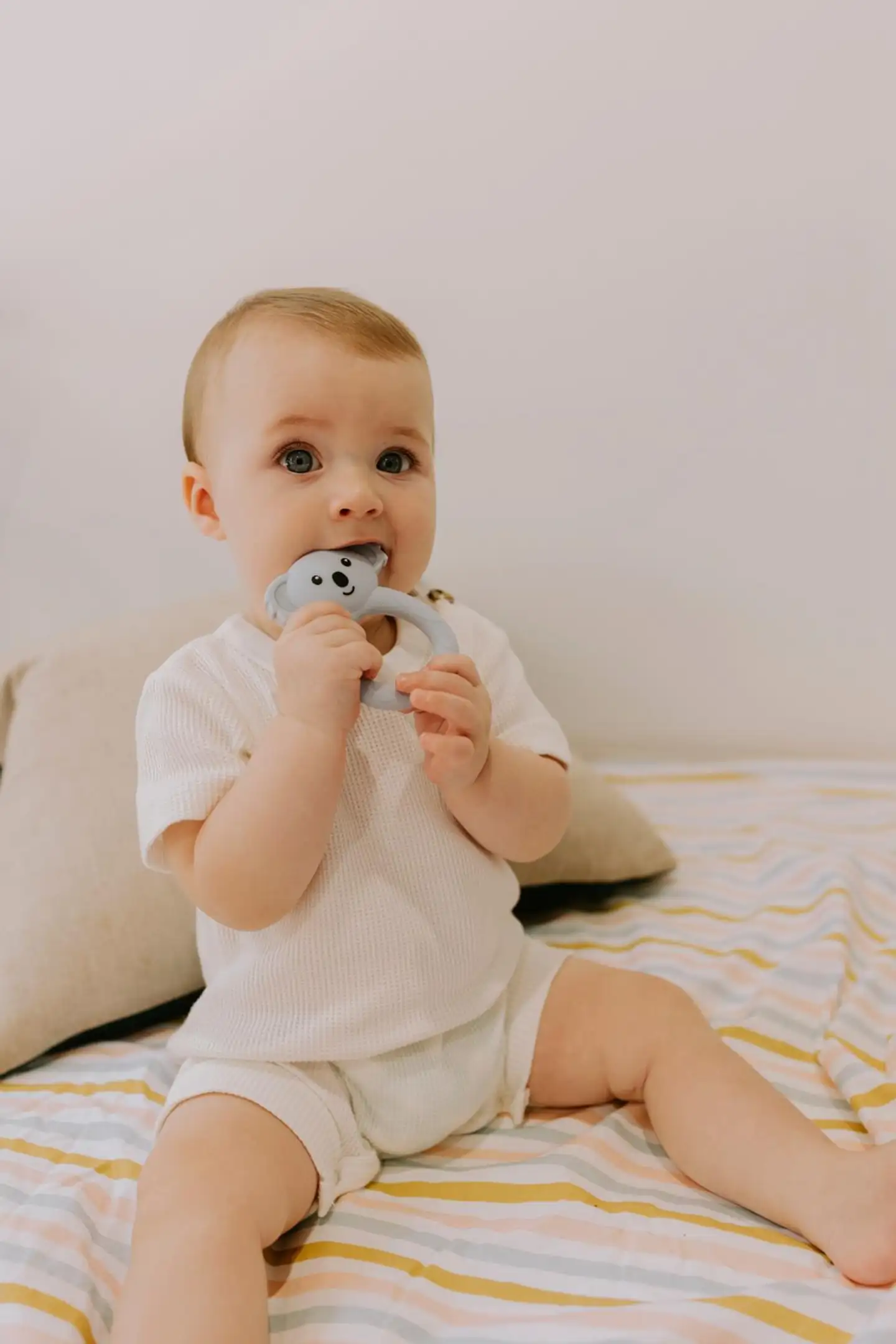 Jellystone purulelu Koala laventeli - 4