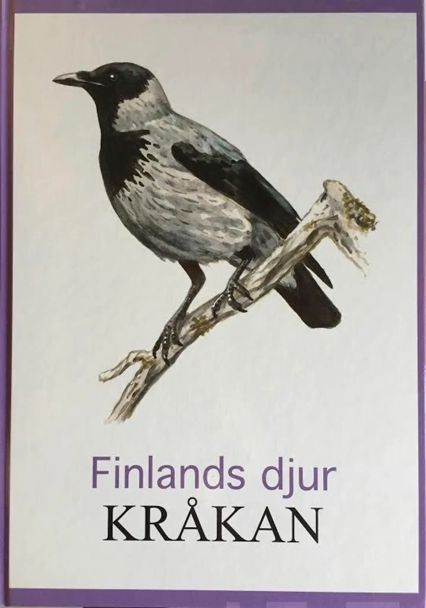 Kråkan