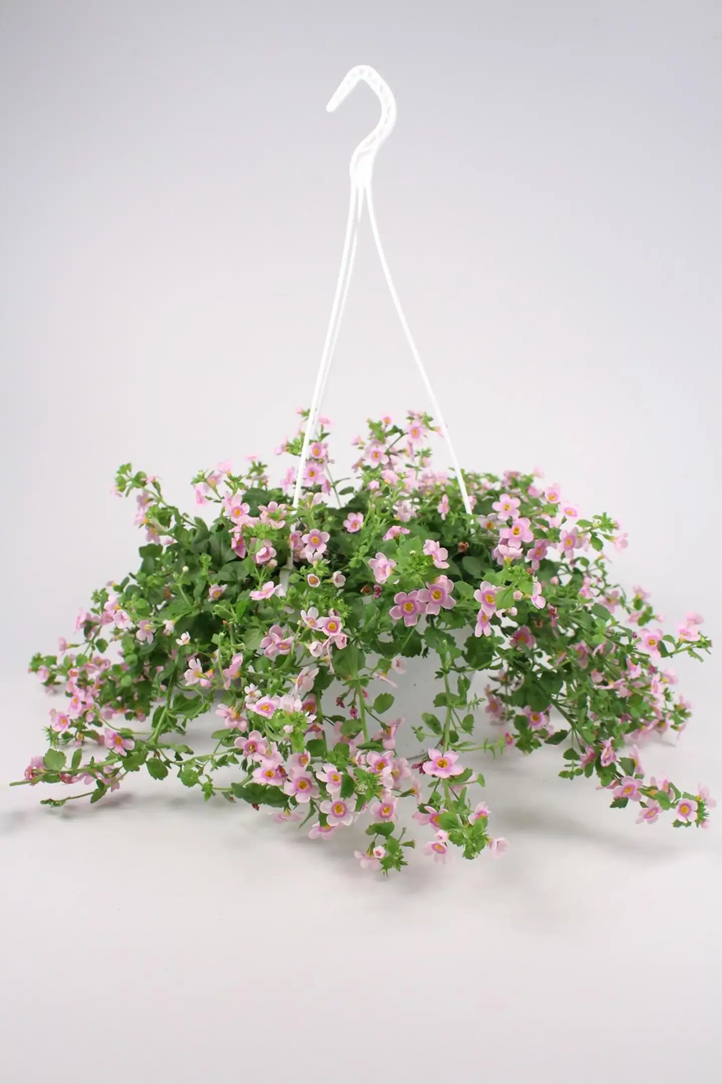 Lumihiutaleamppeli 23 cm - 2