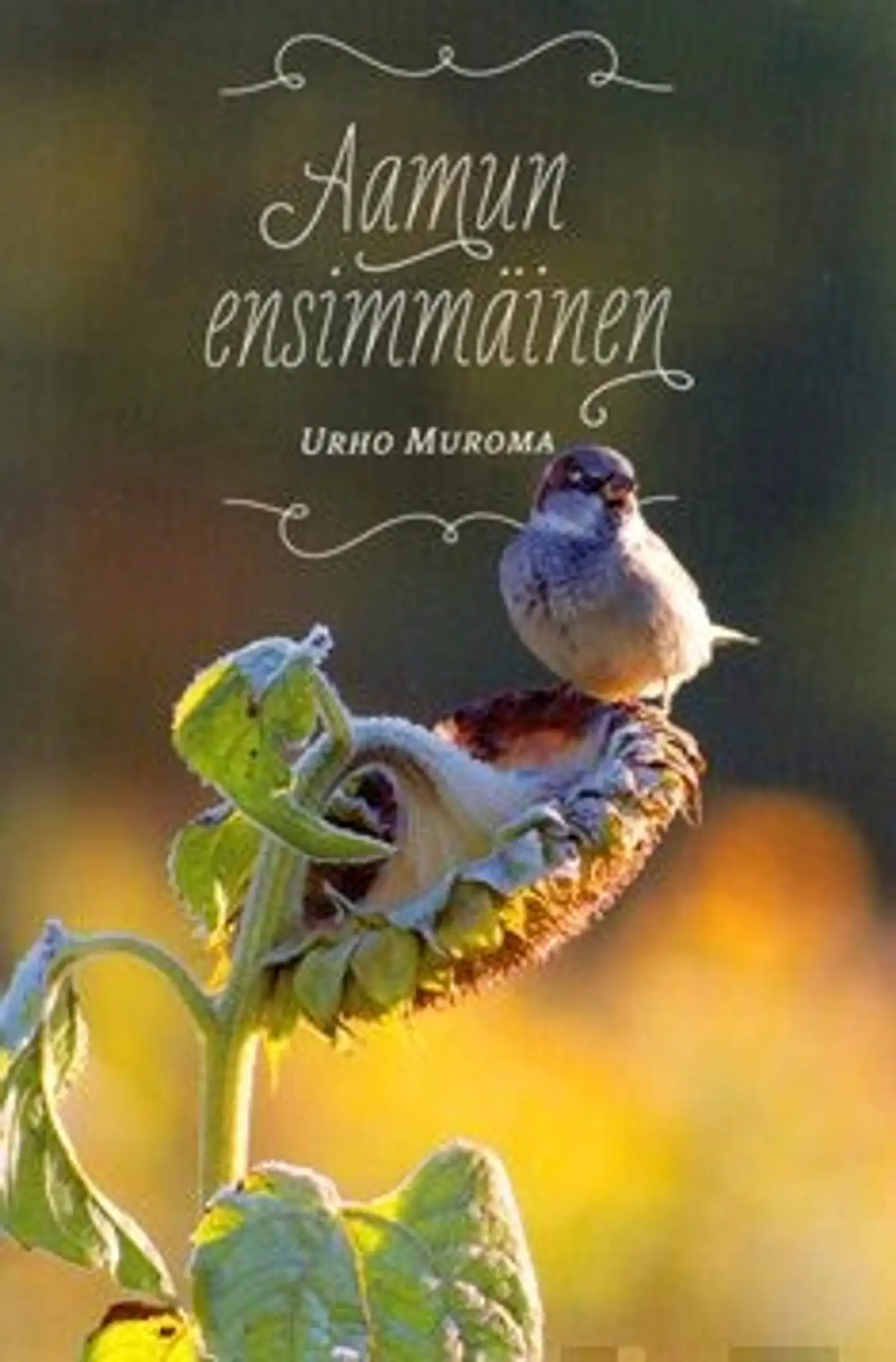 Muroma, Aamun ensimmäinen
